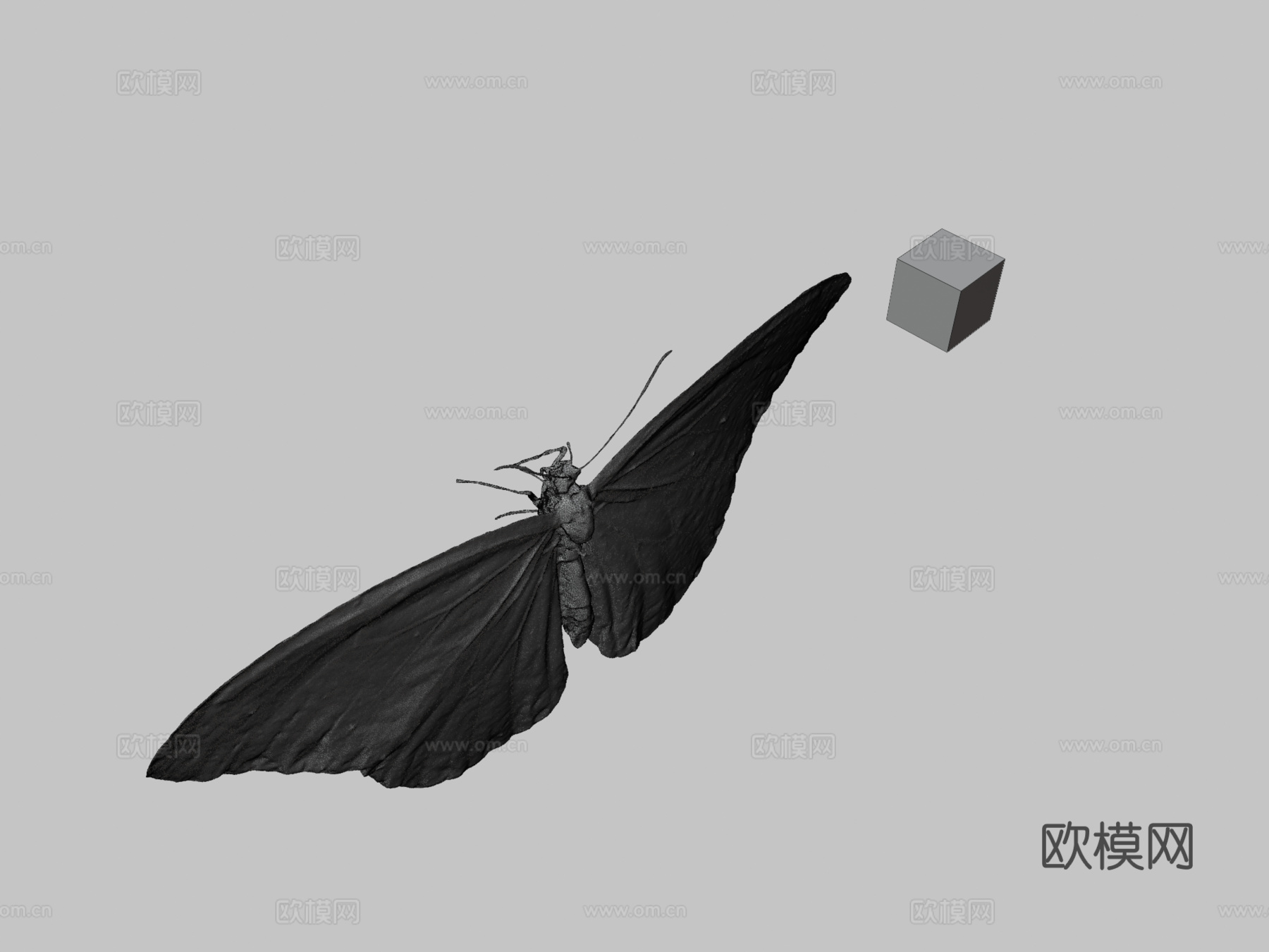 CC0黑脉金斑蝶?普通虎斑蝶3d模型