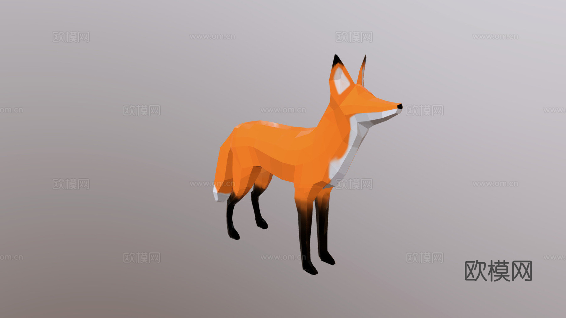 狐狸3d模型