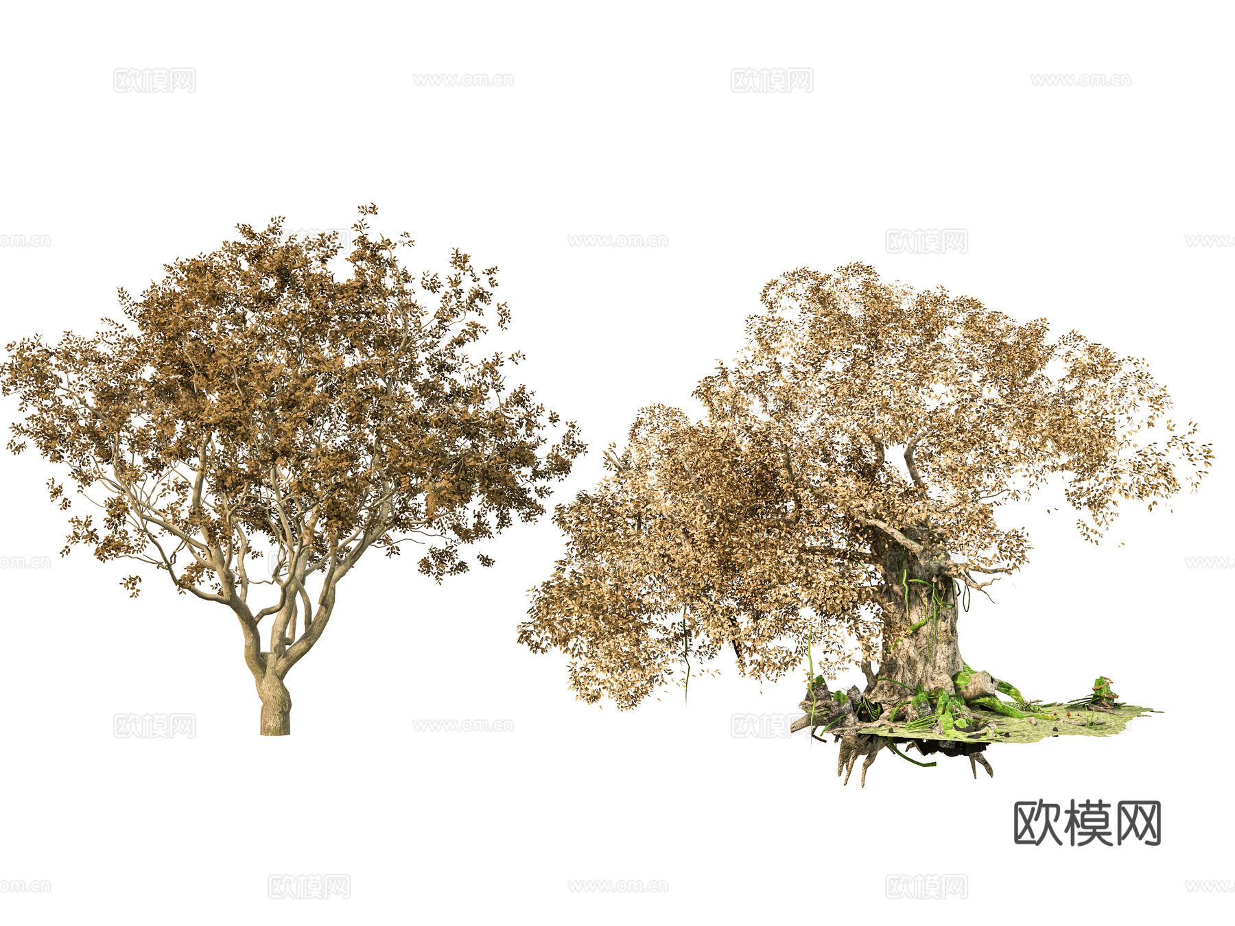 乔木 古树大树乔木 公园大型景观树 榕树景观树 参天大树许su模型