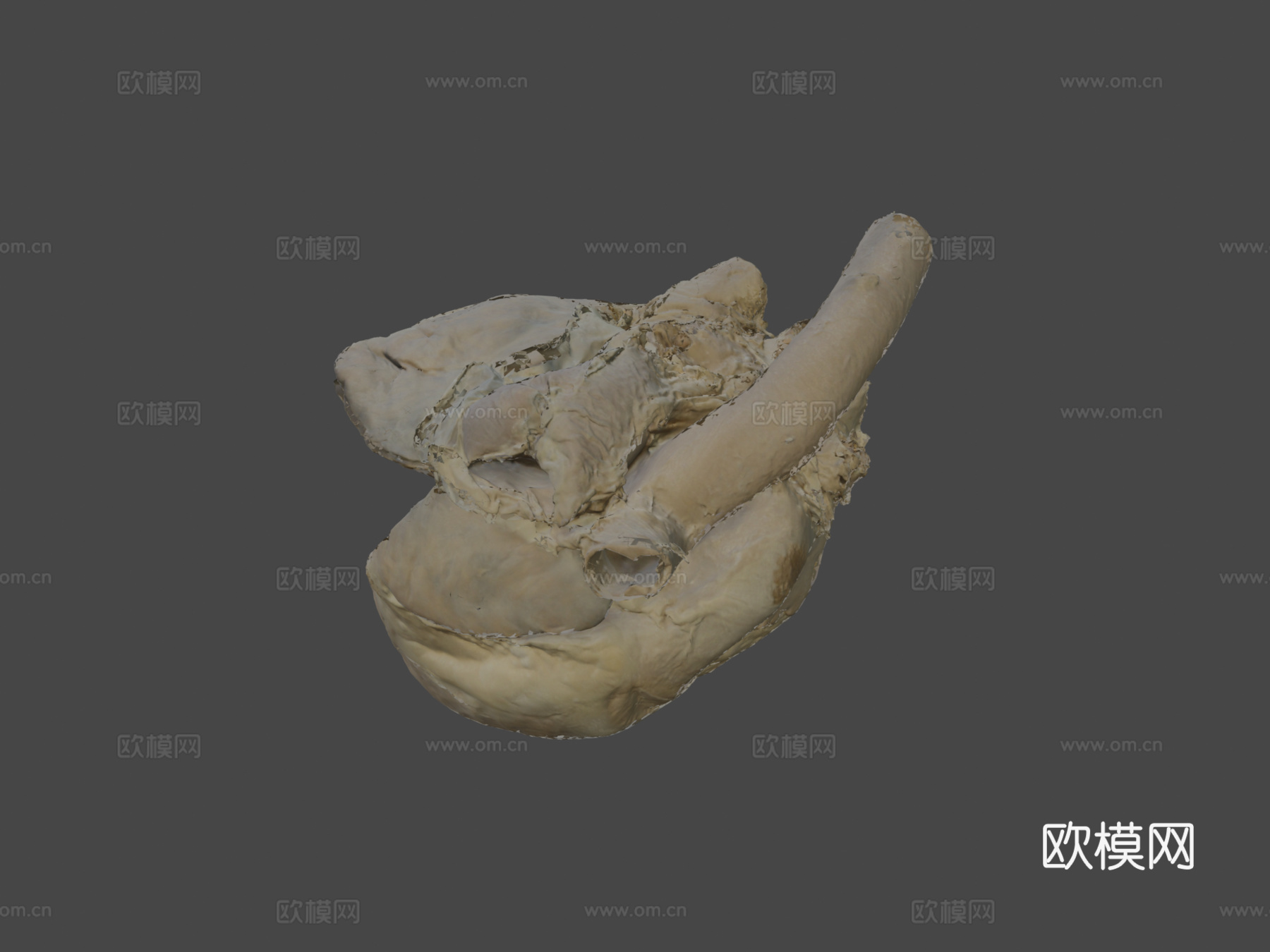 心(核心)马3d模型