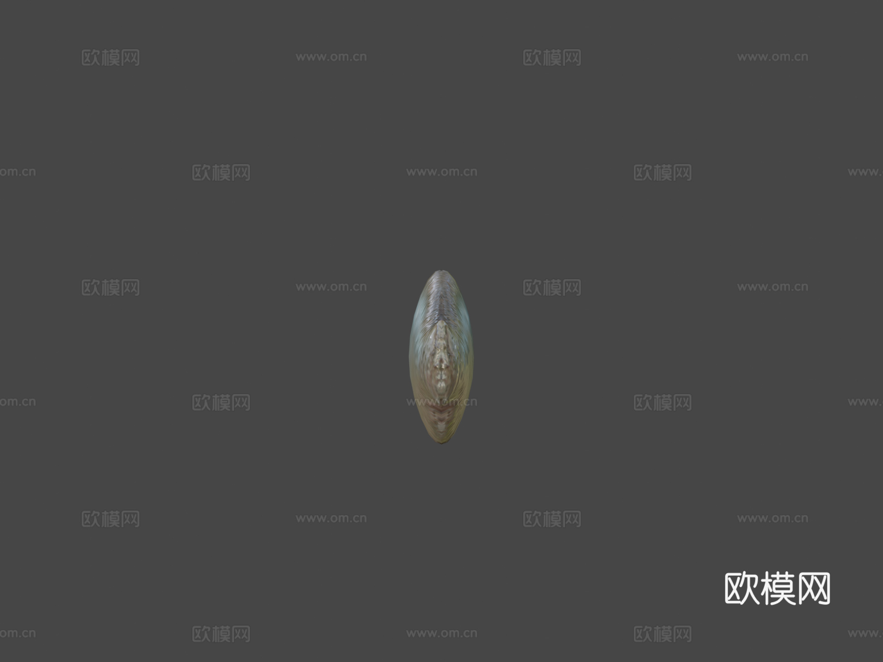 红鳍鱼3d模型
