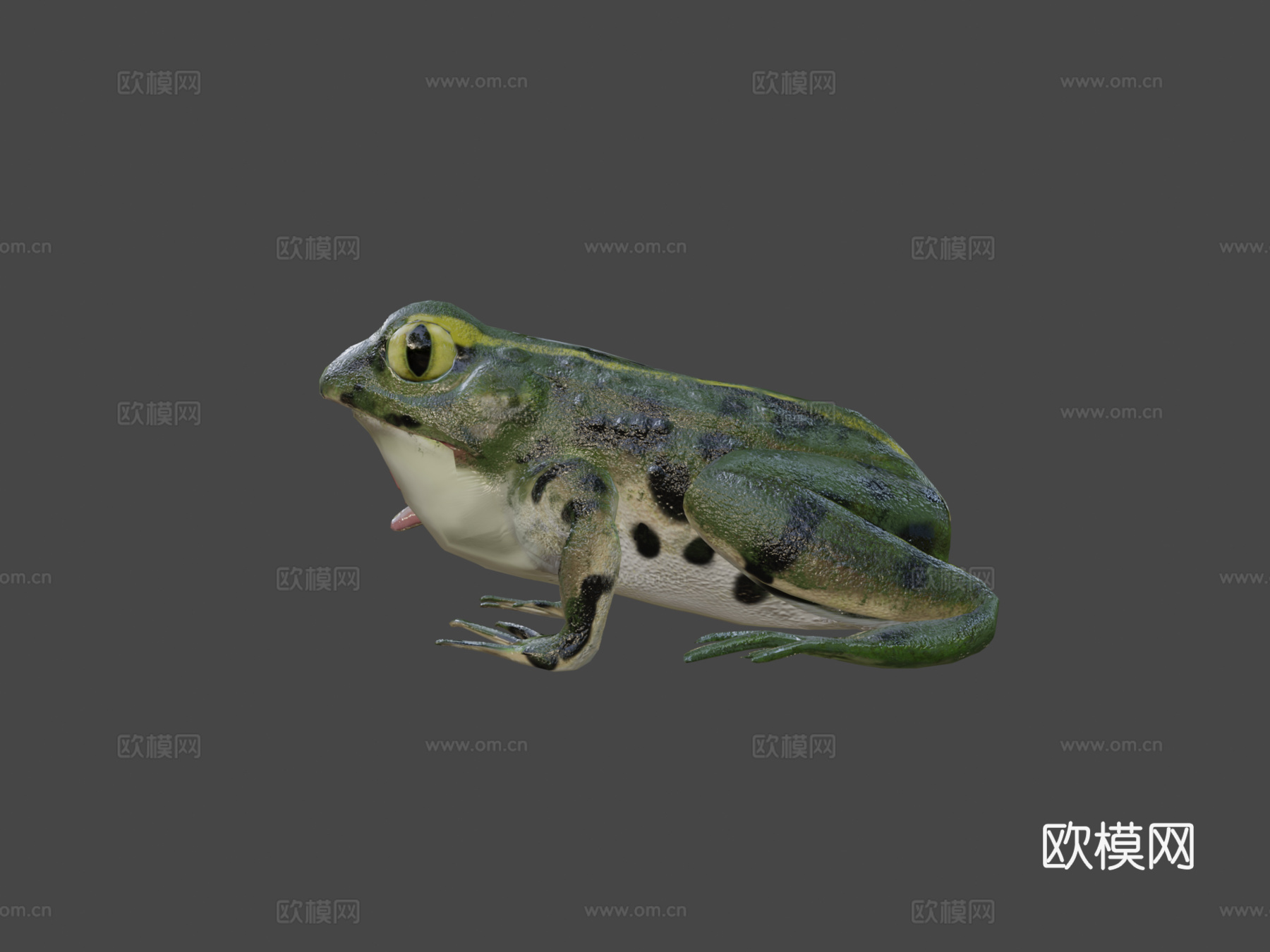 青蛙3d模型