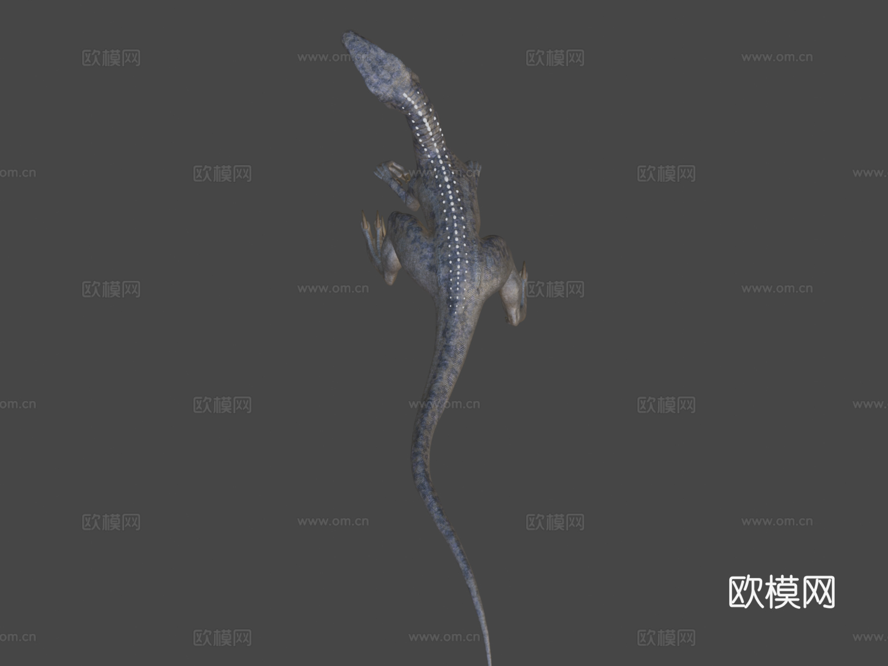 迅猛龙3d模型