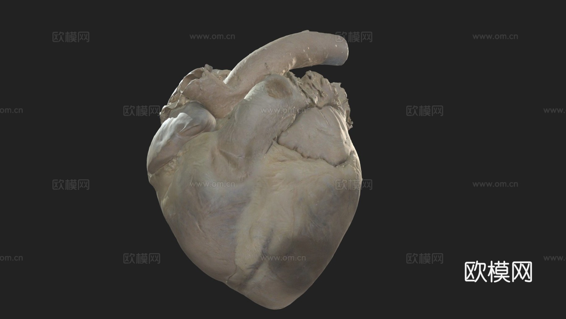 心(核心)马3d模型