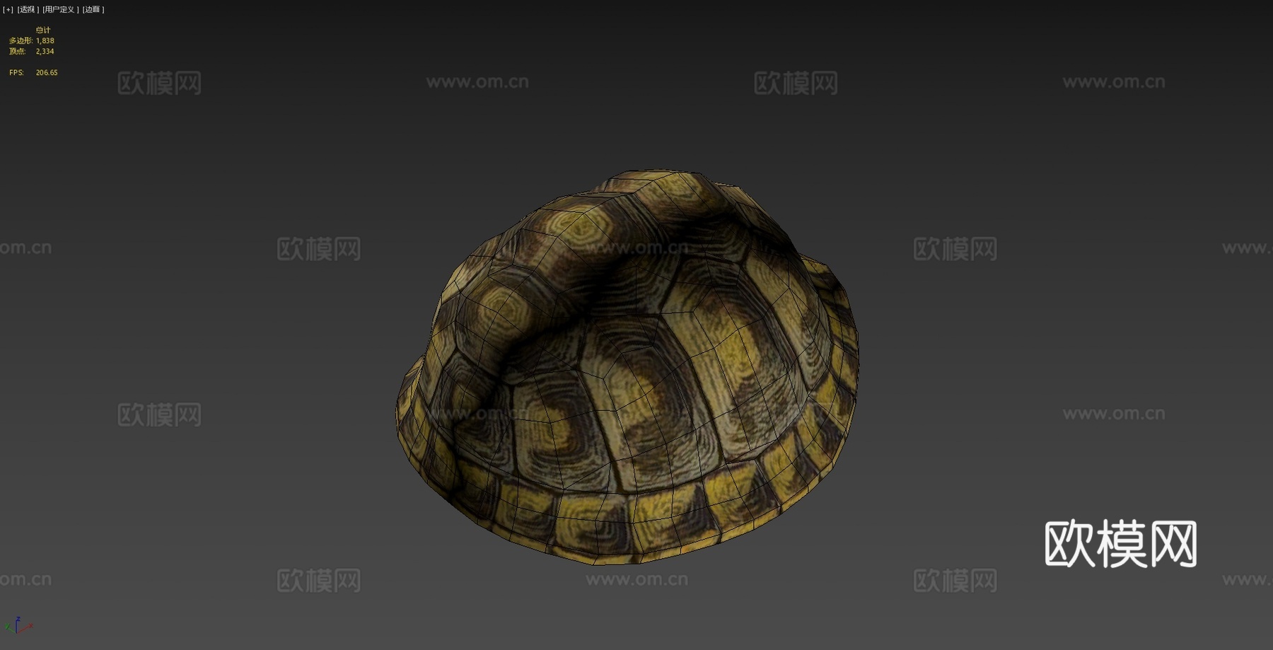 乌龟动画行走循环3d模型