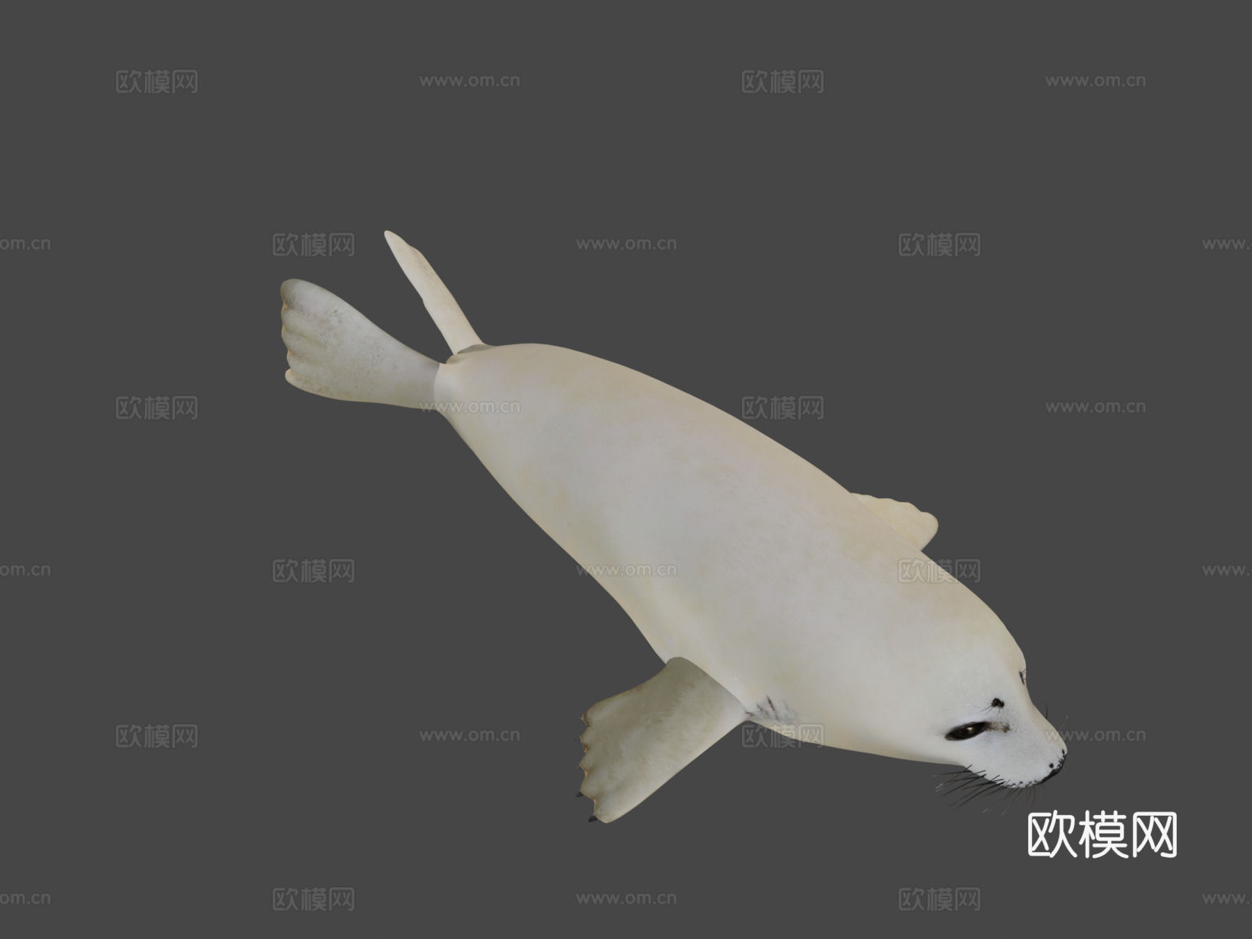 格陵兰海豹幼崽（格陵兰种）-竖琴海豹3d模型
