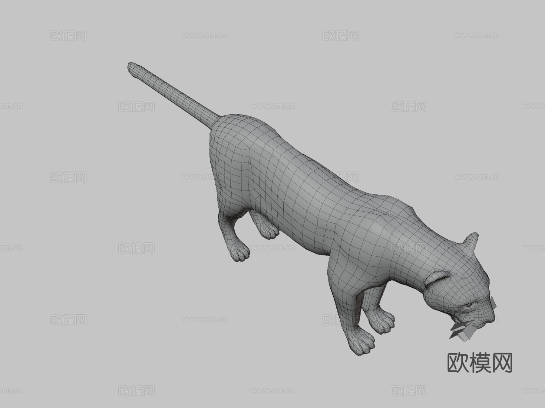豹3d模型