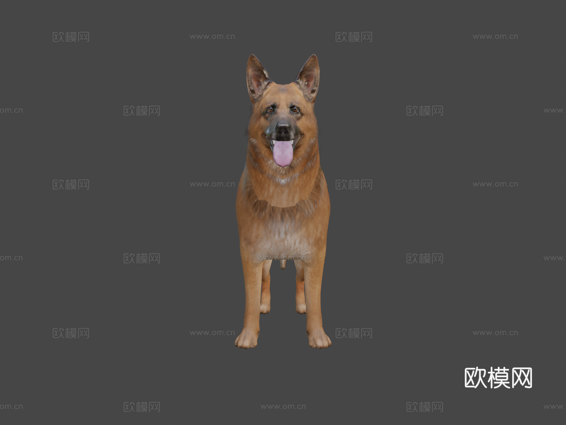 狗3d模型