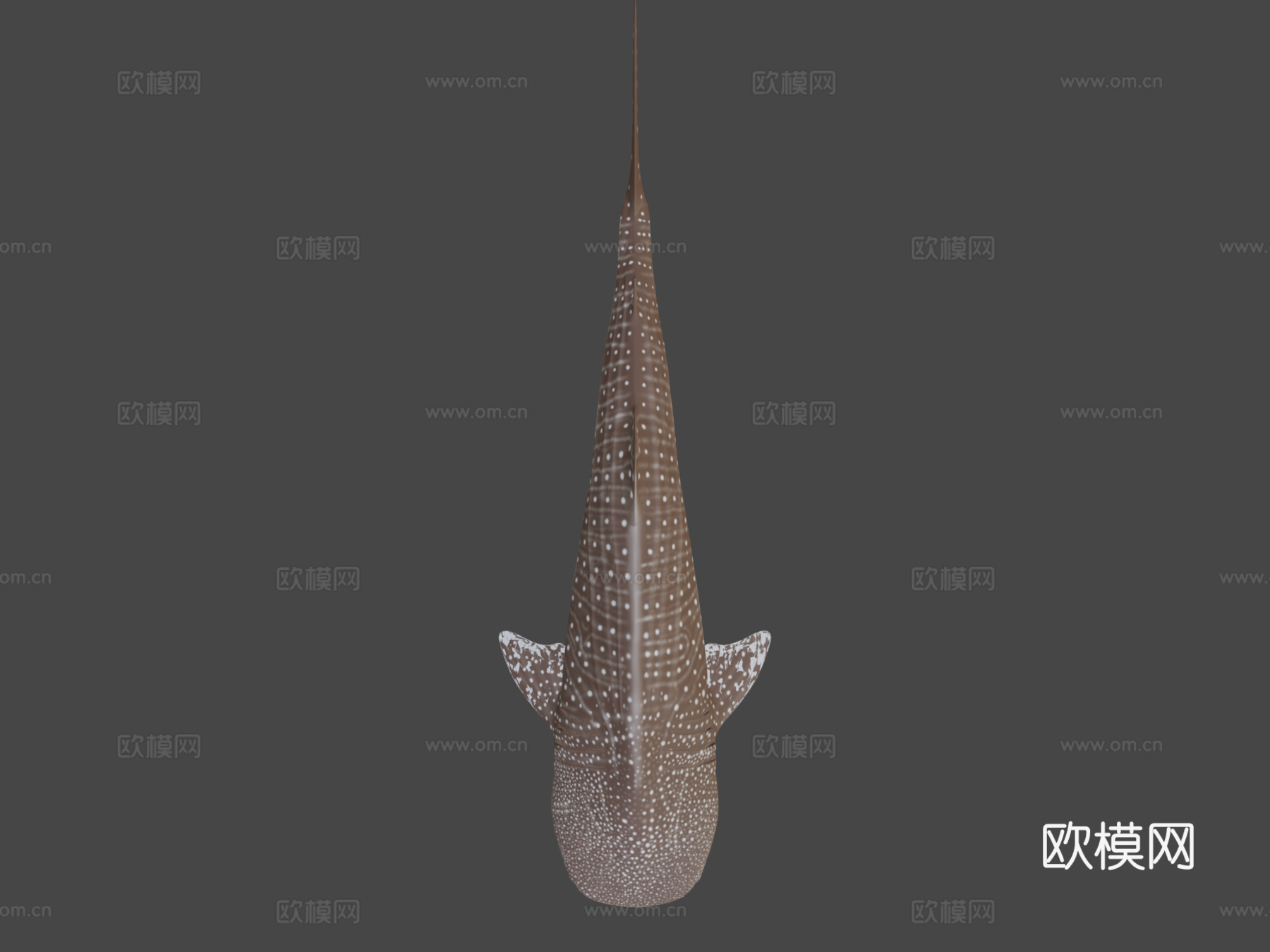 鲸鲨3d模型