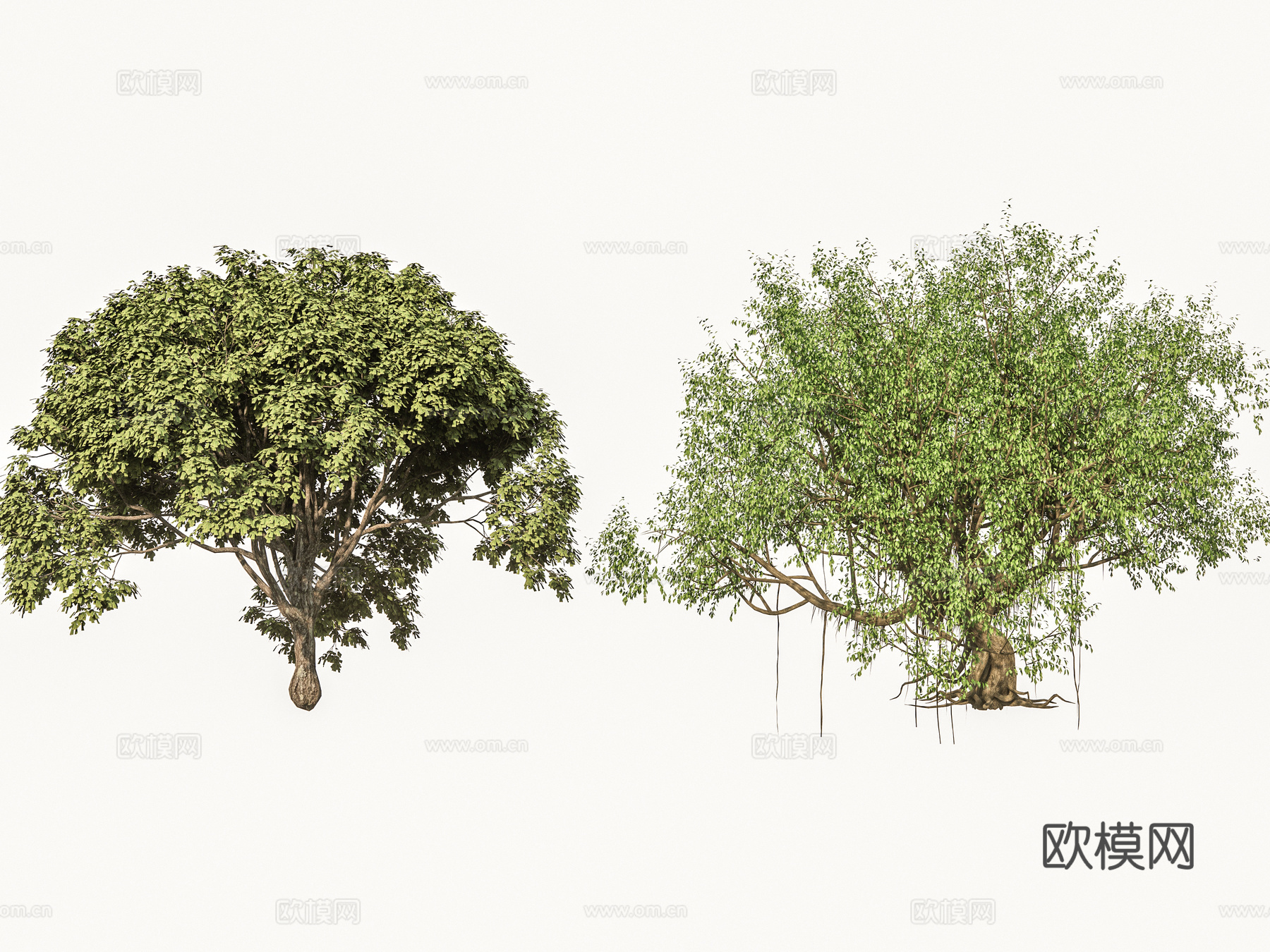 乔木 古树大树乔木 公园大型景观树 榕树景观树 参天大树许su模型