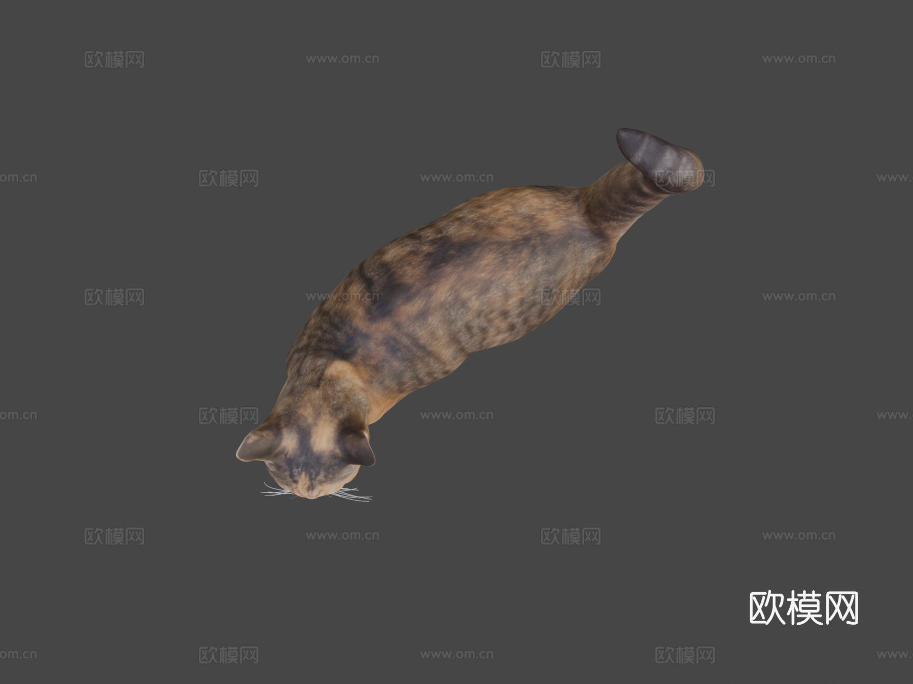 猫253d模型