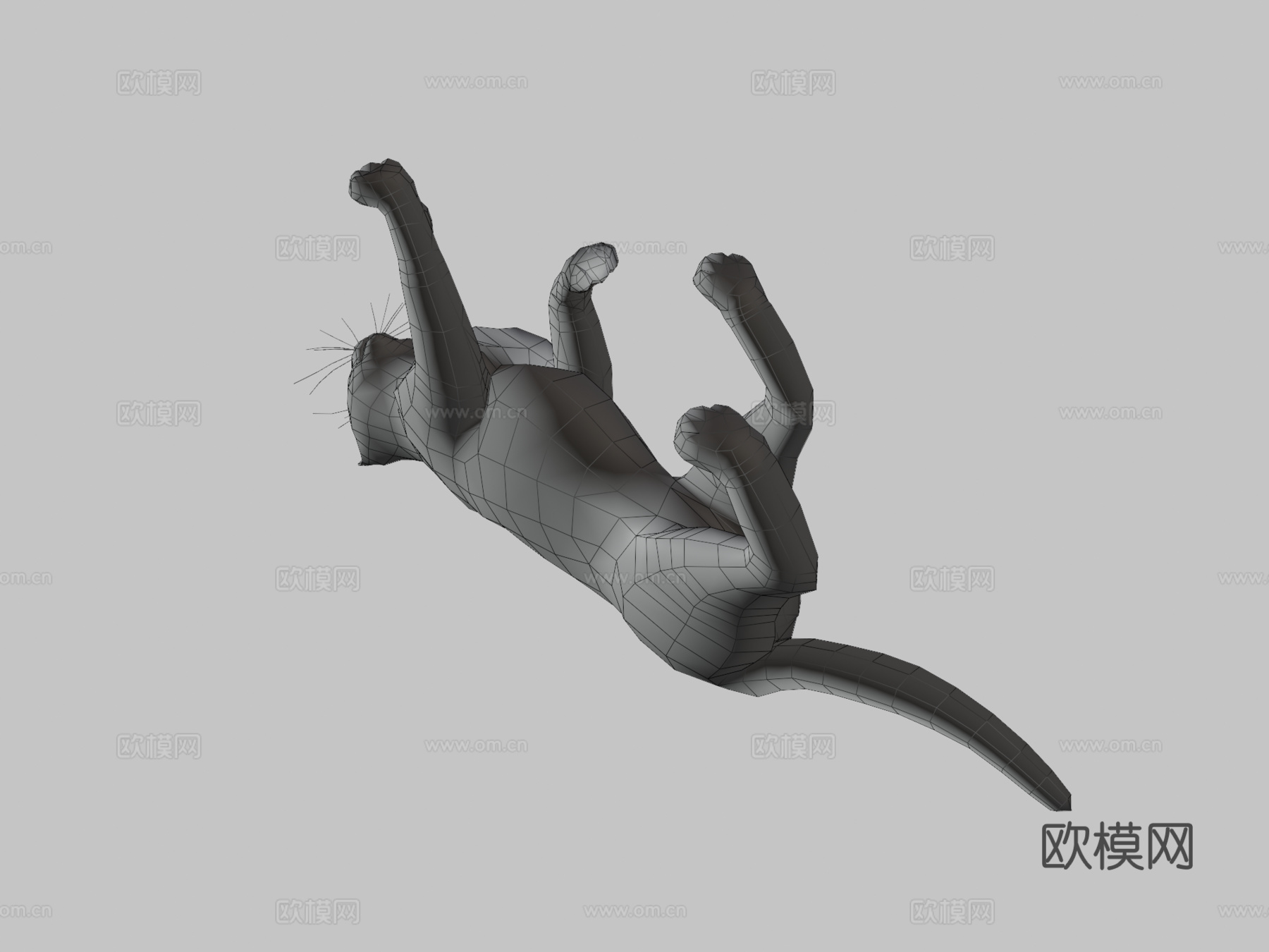 猫-行走动画3d模型