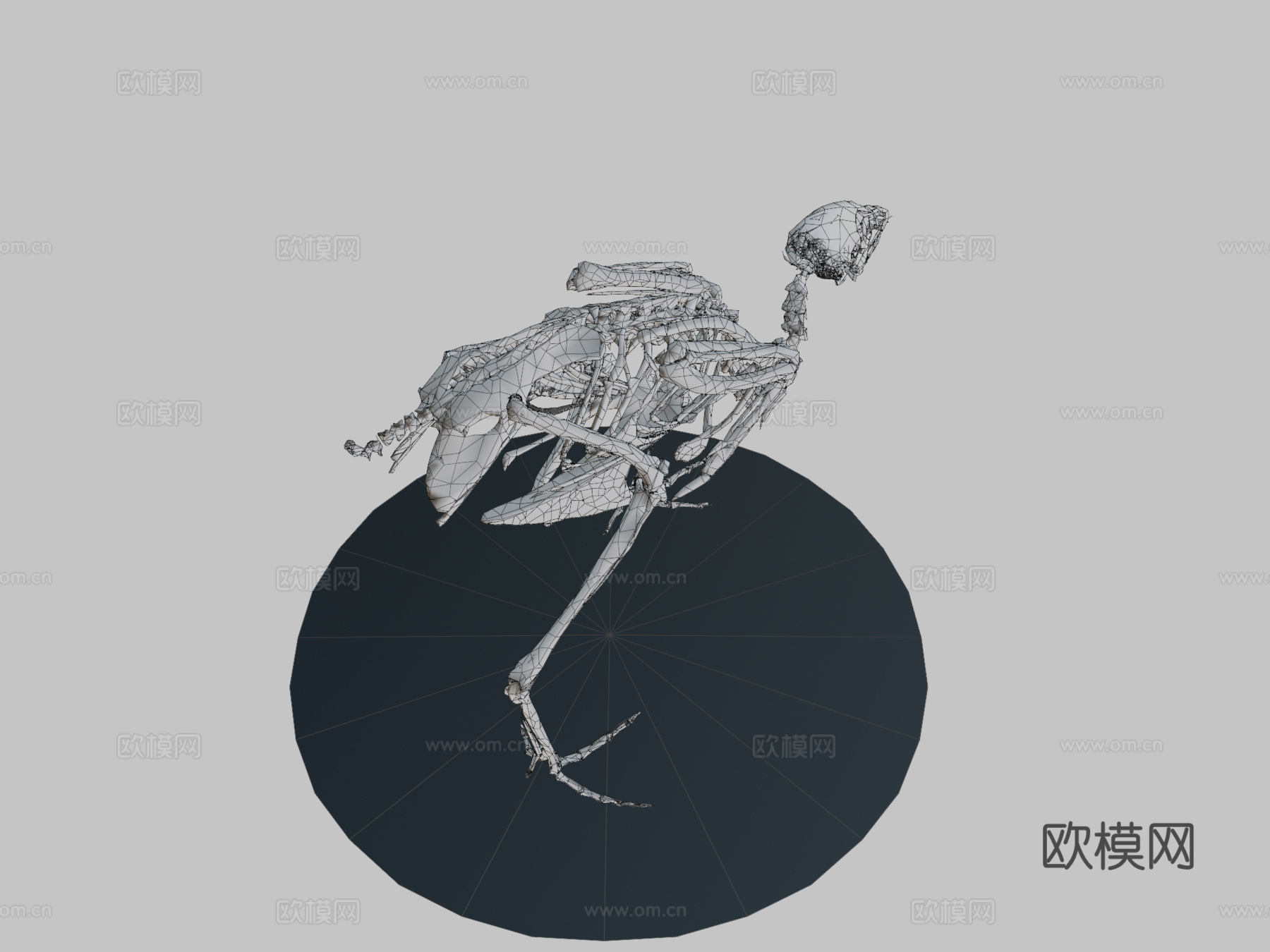 行走鹌鹑骨架3d模型