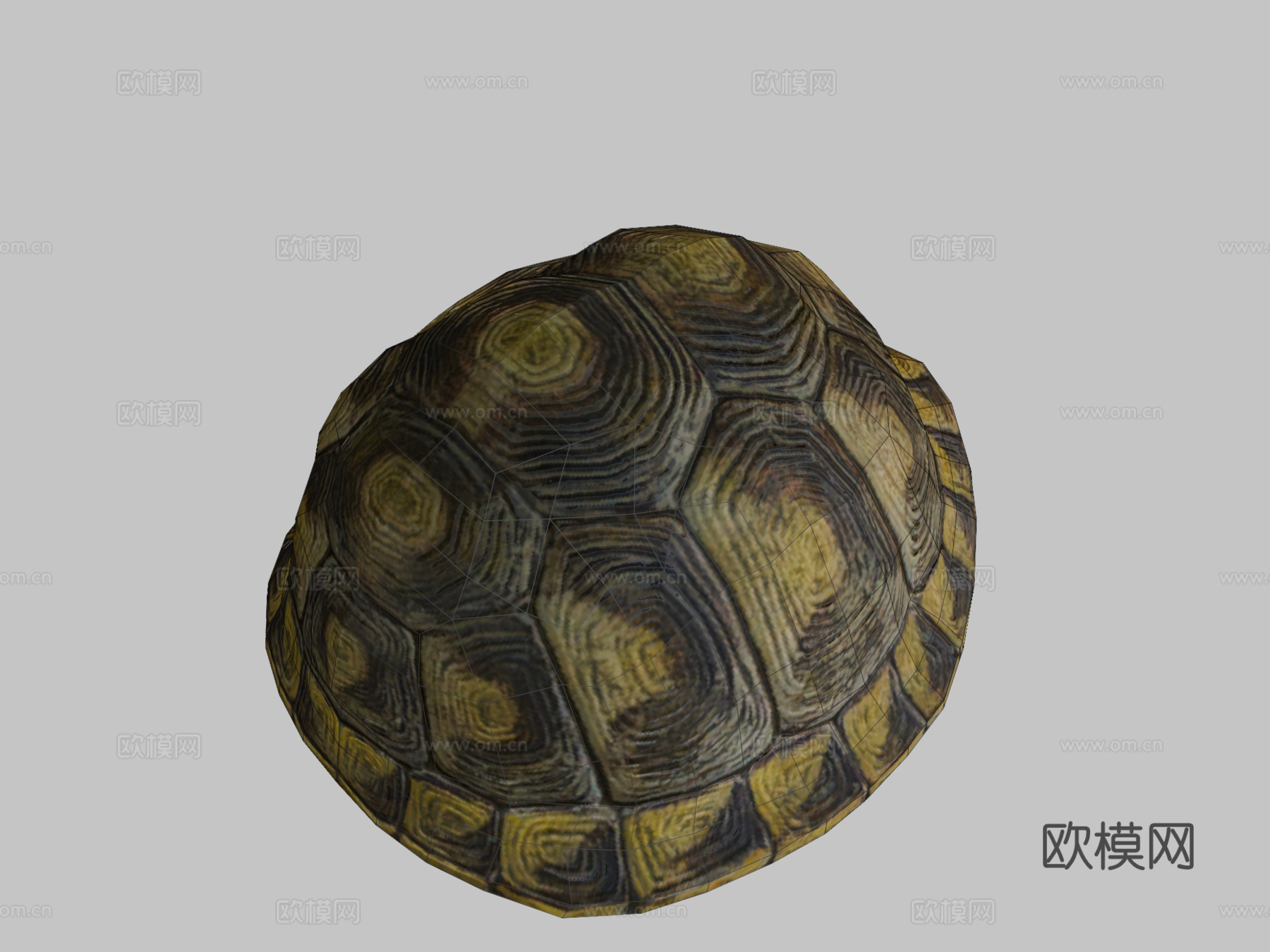 乌龟动画行走循环3d模型