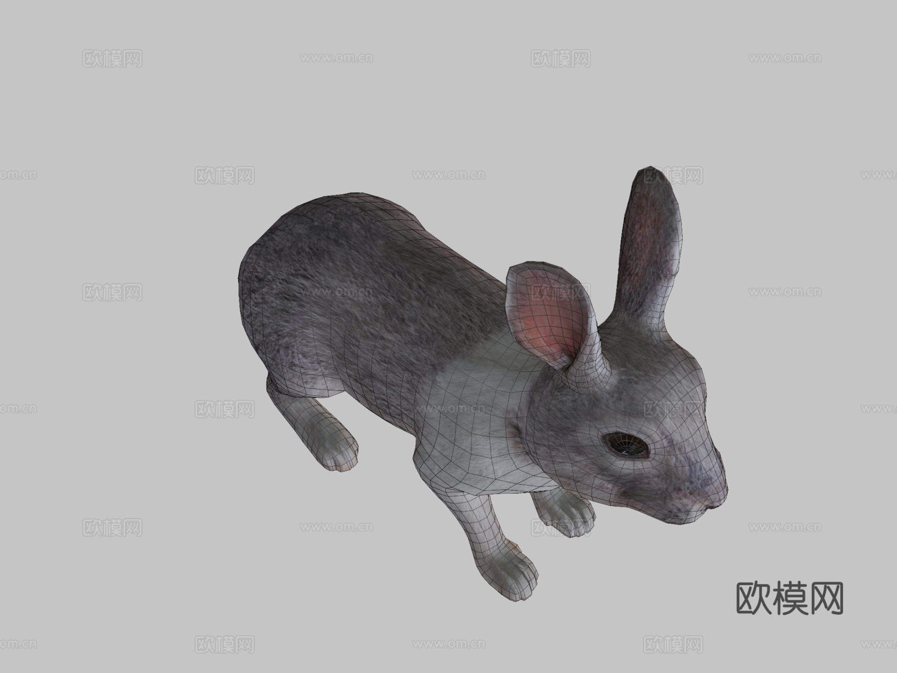 兔子动画3d模型