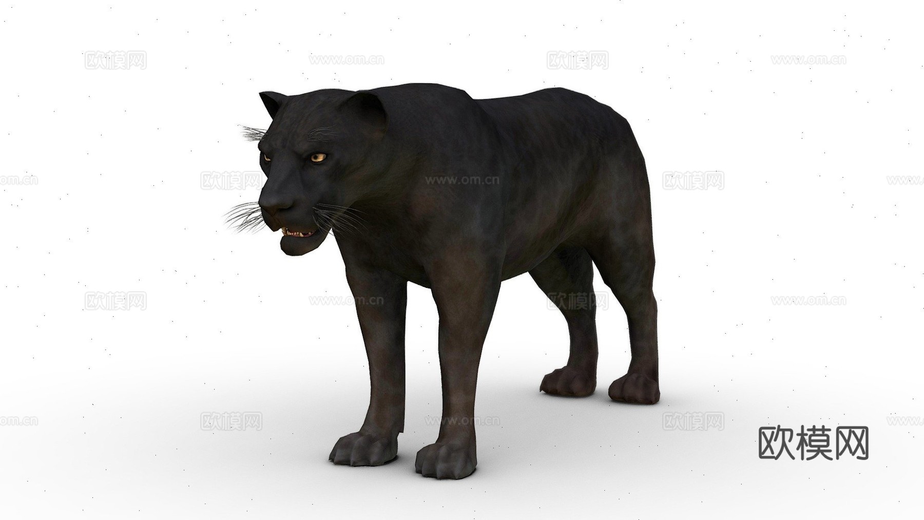 D黑豹3d模型3d模型