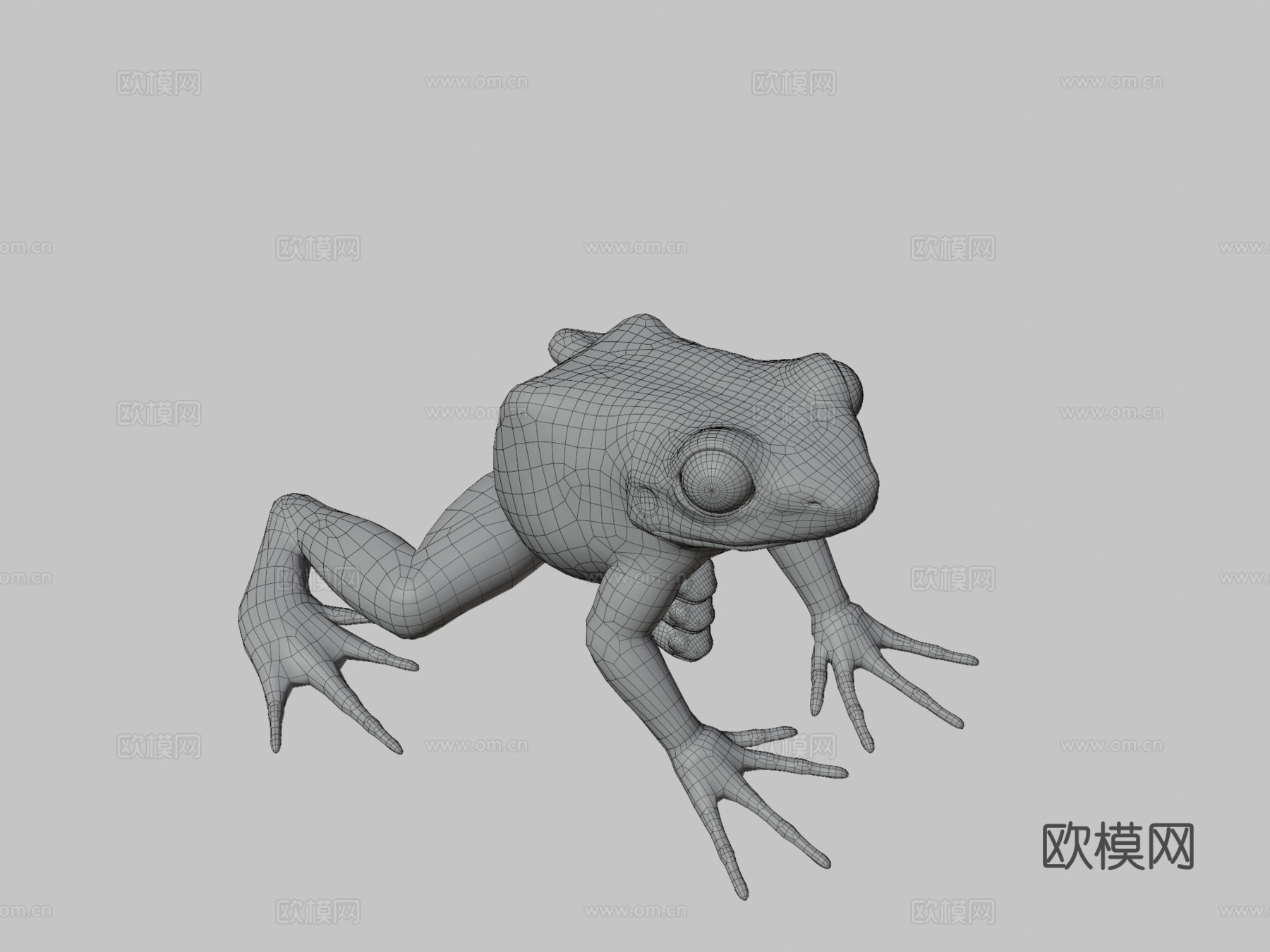 金色箭毒蛙3d模型
