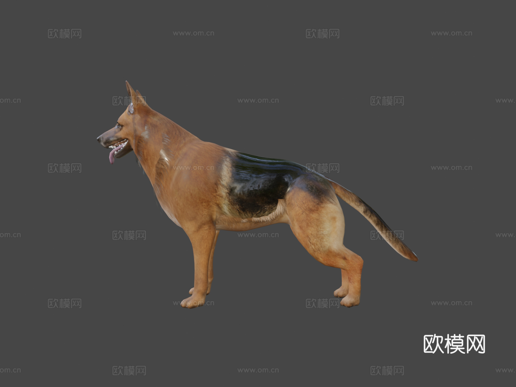 狗3d模型