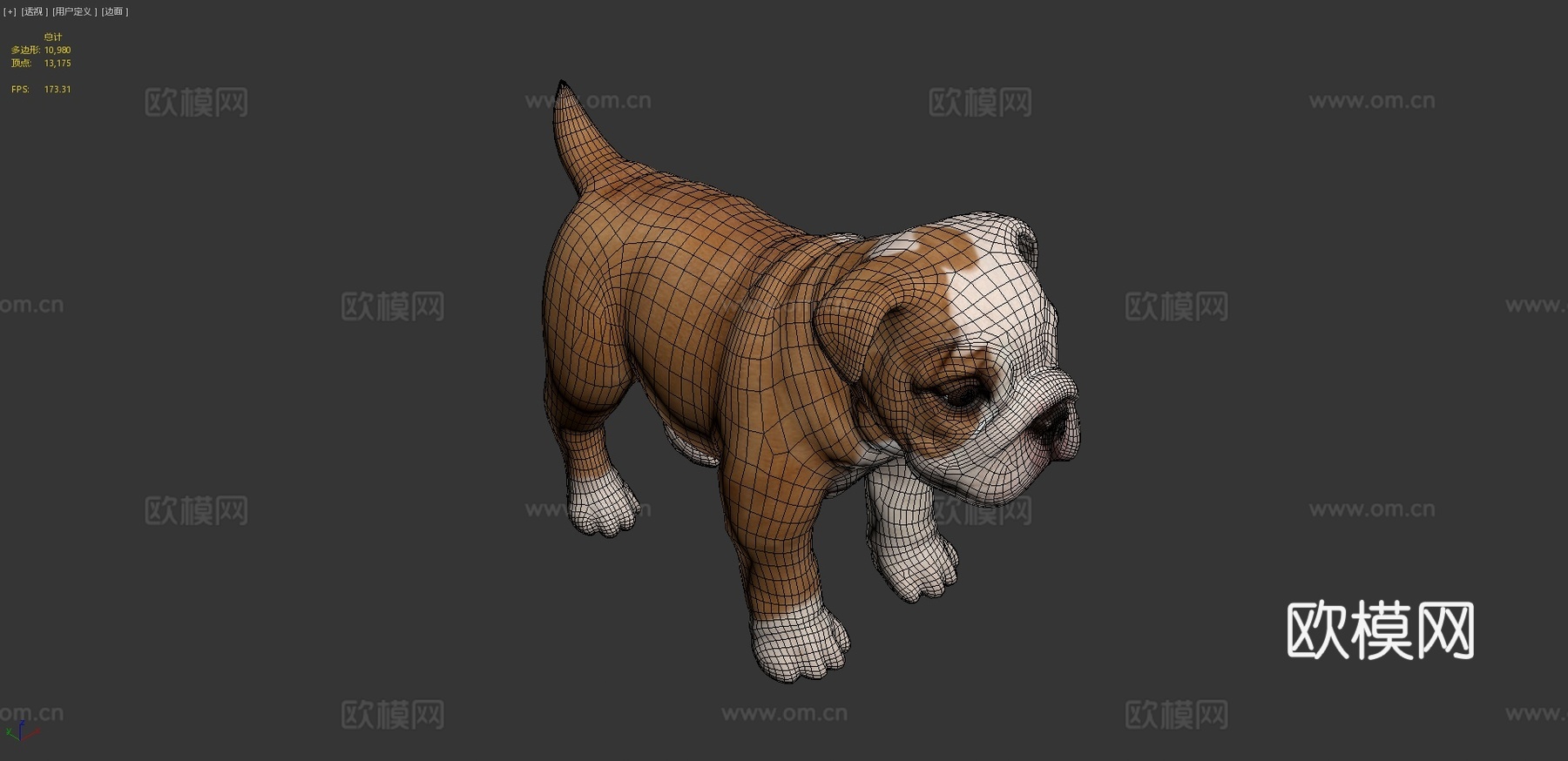 斗牛犬幼崽3d模型