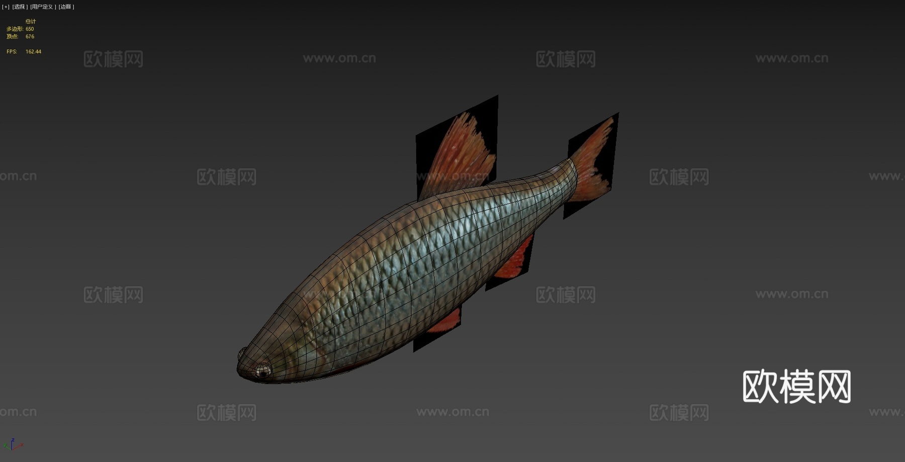 红鳍鱼3d模型