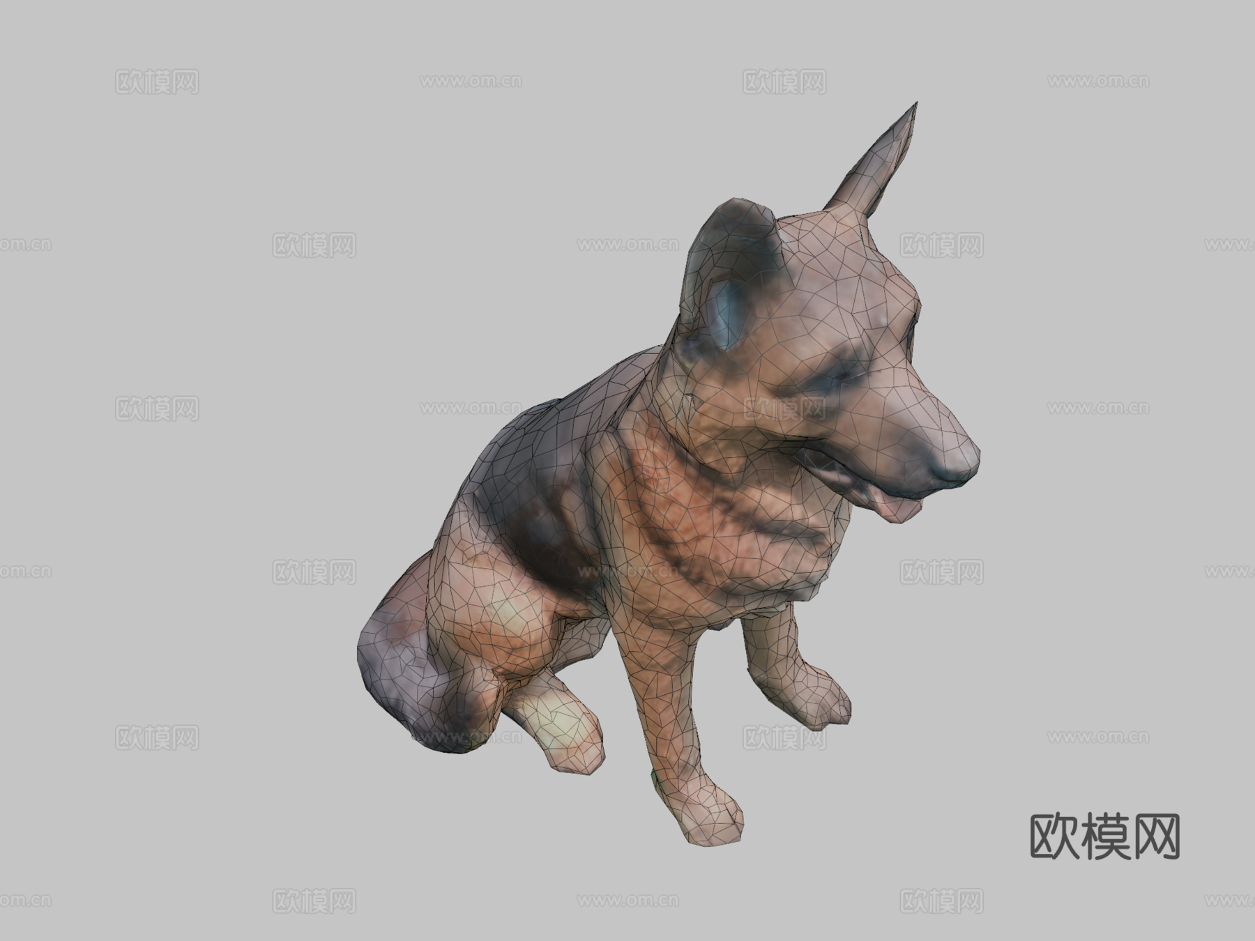 德国牧羊犬3d模型