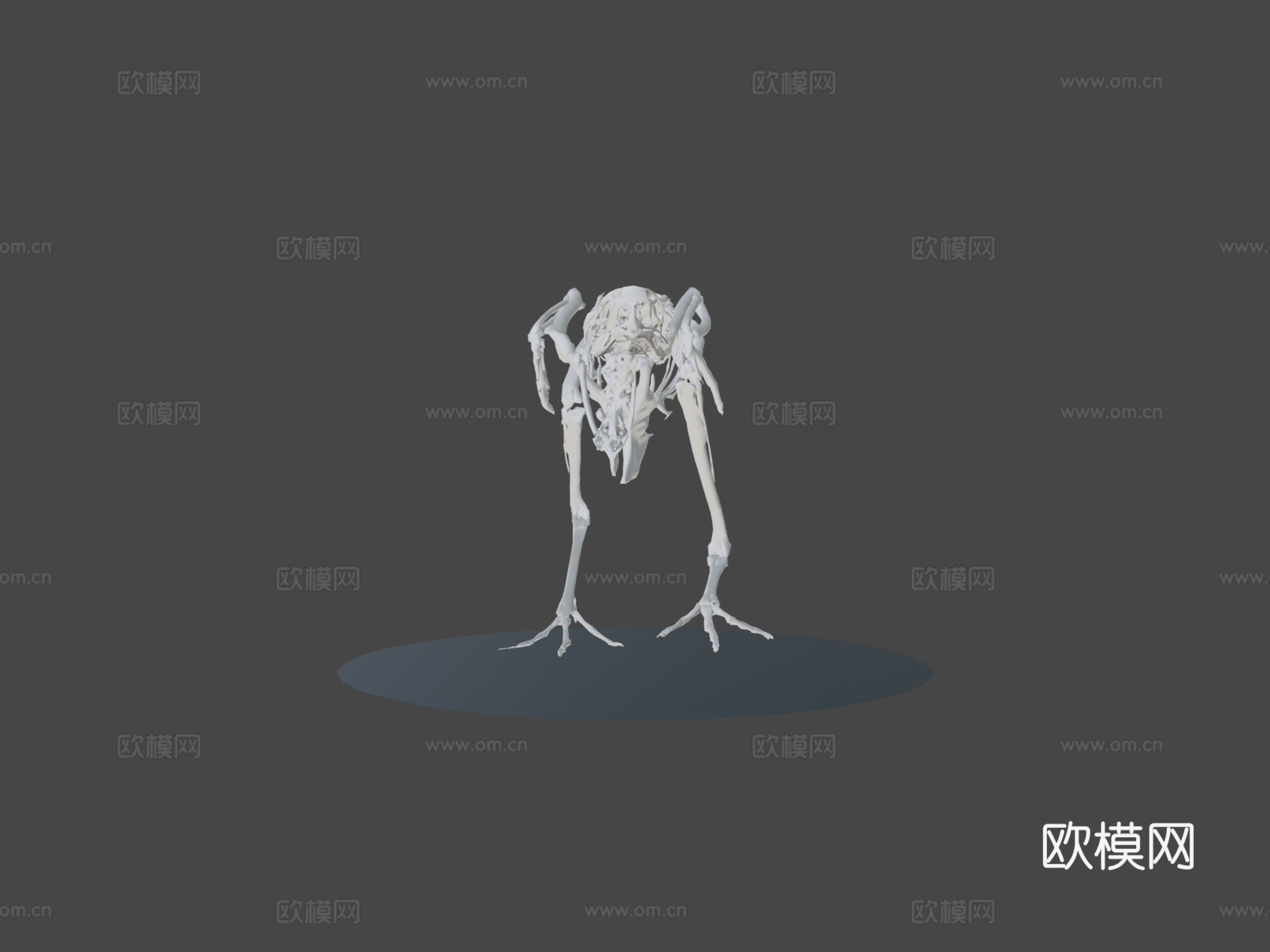 行走鹌鹑骨架3d模型