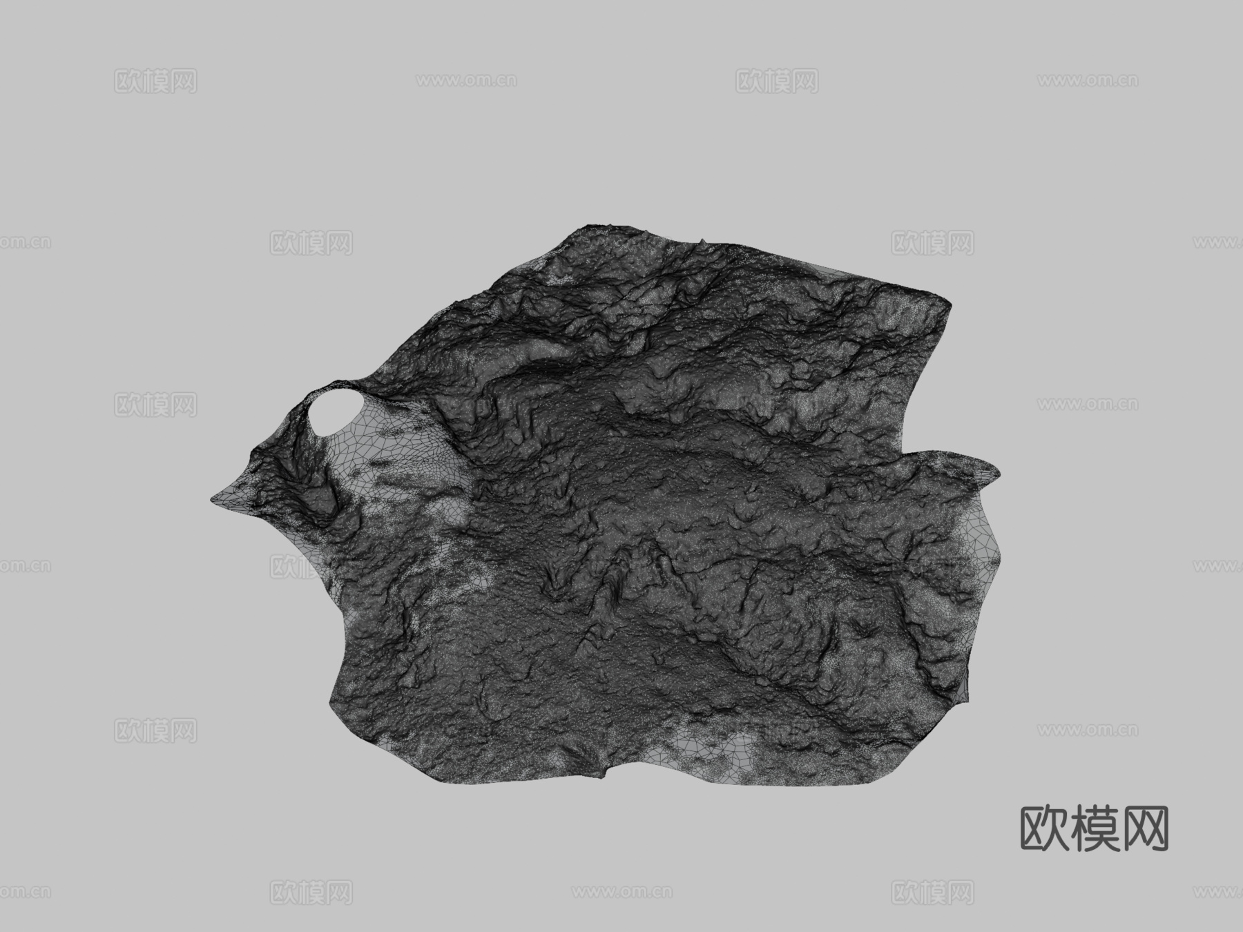 鸟脚印软泥,拉比,威勒尔3d模型