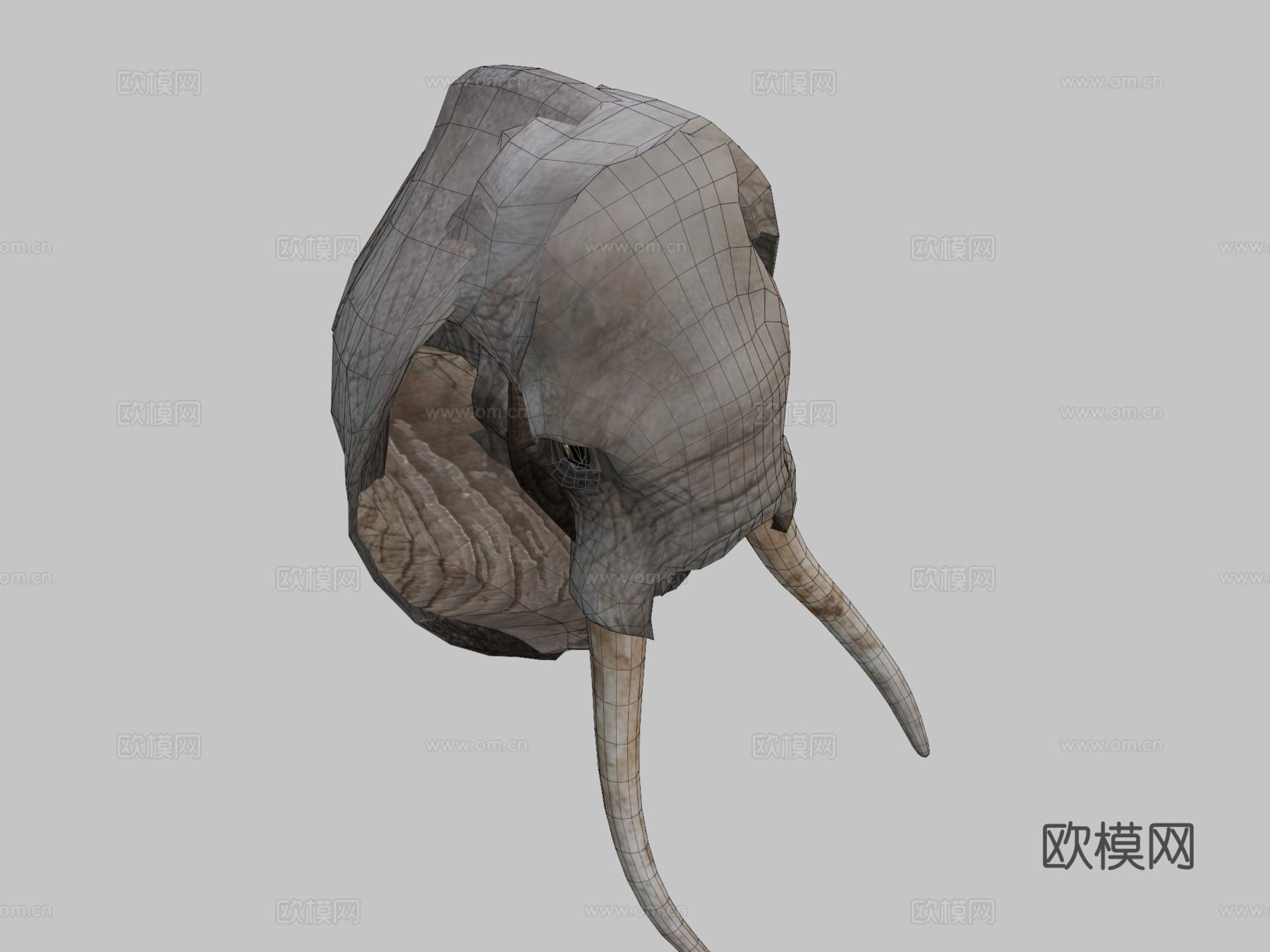 动物界-非洲象3d模型