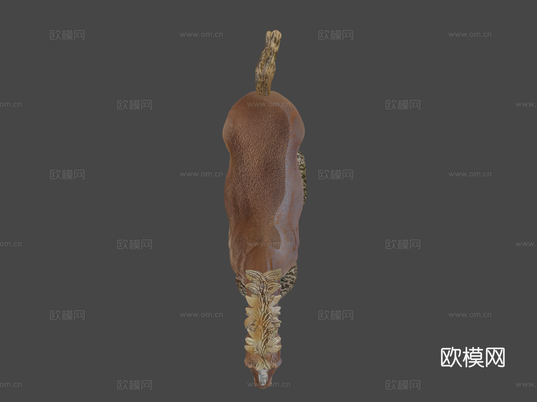 奔腾马-下载-3D可打印3d模型
