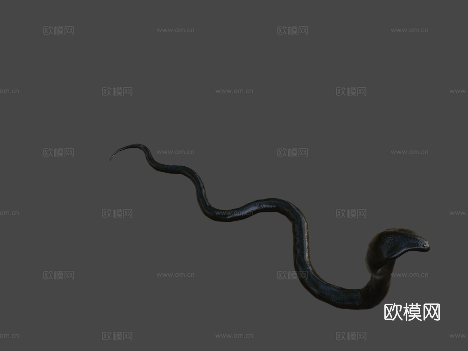 梦幻蛇3d模型