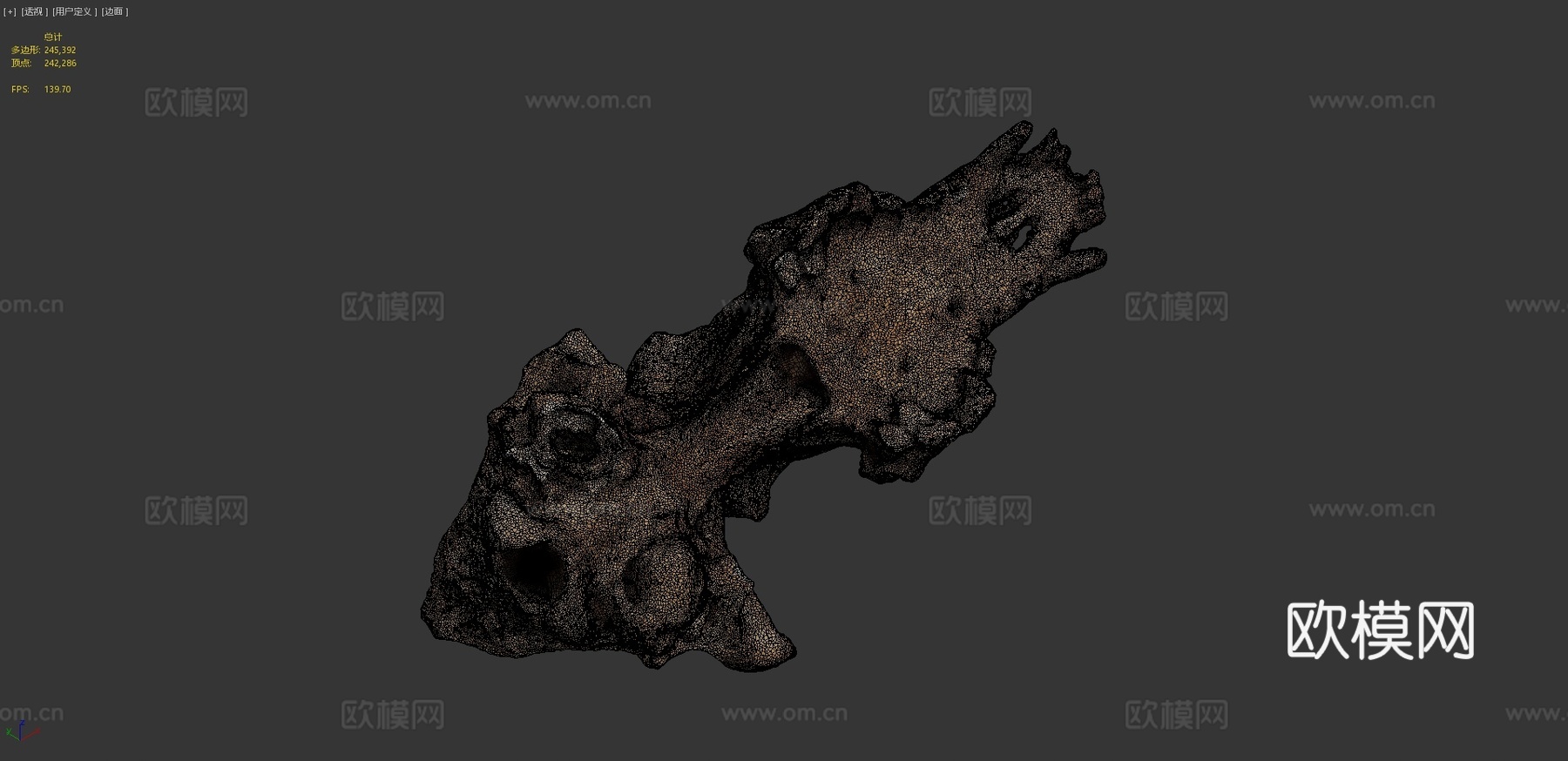 莱斯顿修道院发现2013-犬类头骨3d模型