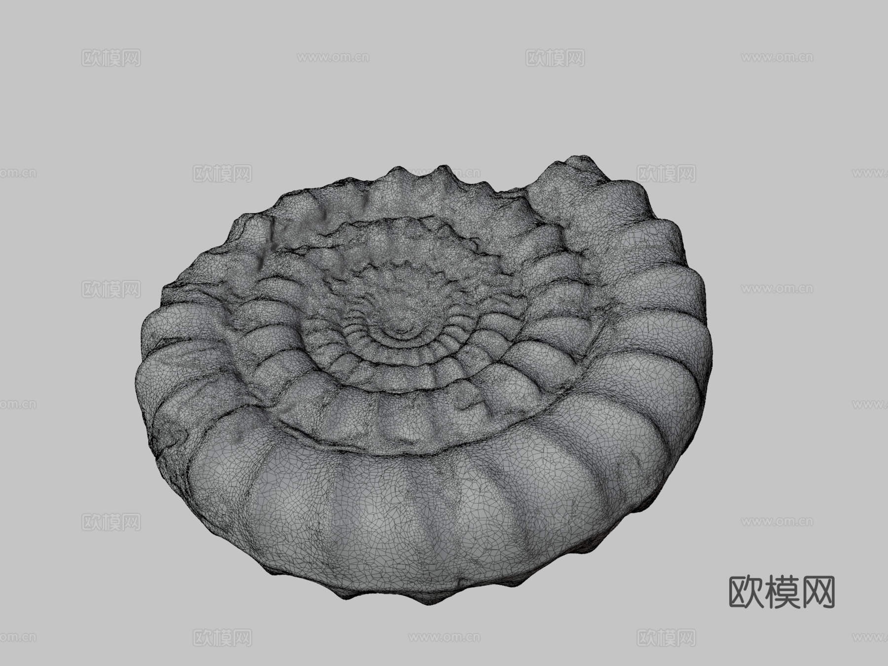菊石化石3d模型