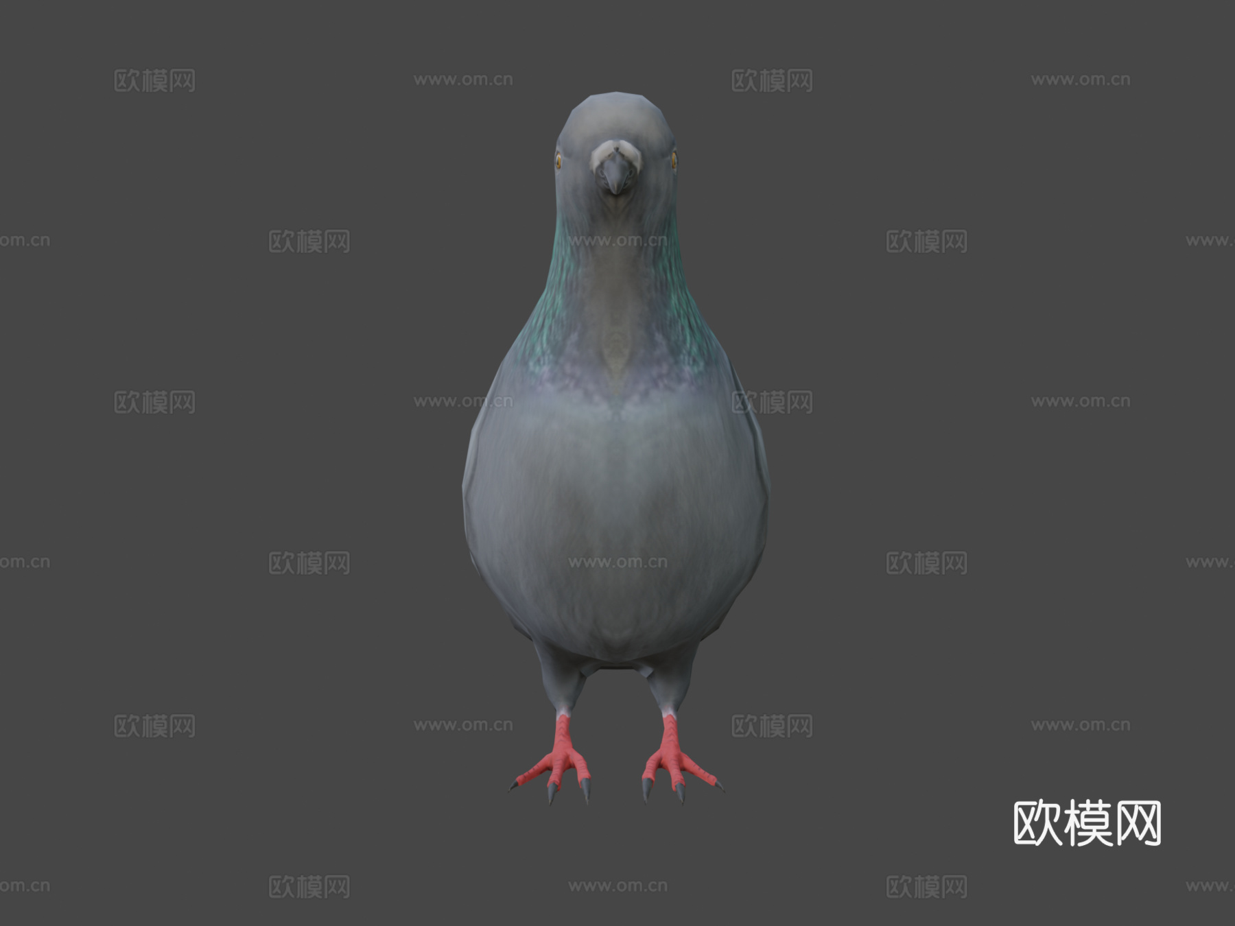 鸽子-3D模型-3d模型