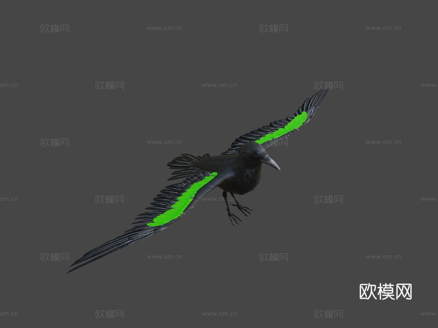 乌鸦_绑定动画3d模型