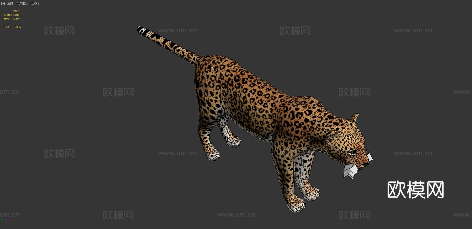 豹3d模型