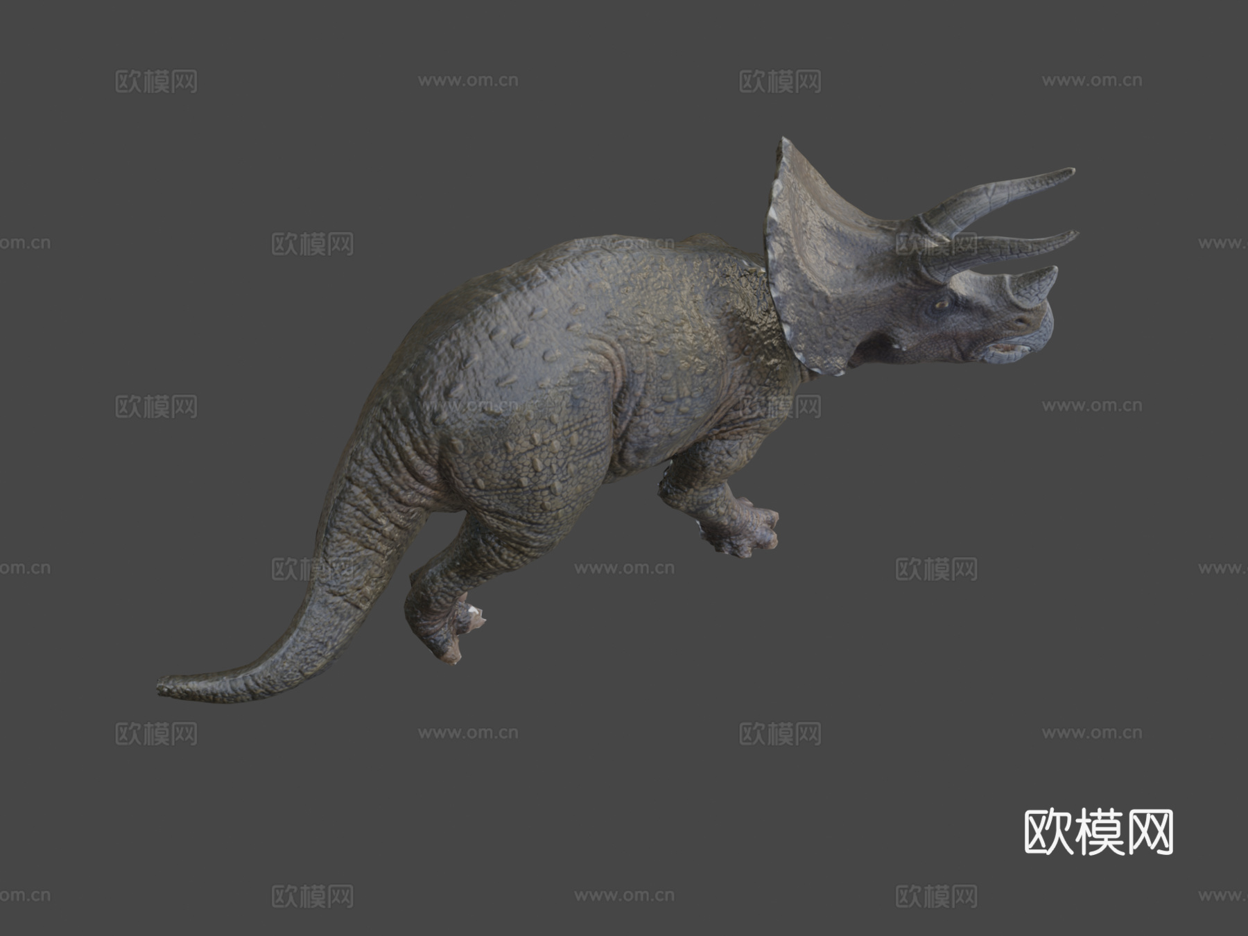 三角龙摄影测量测试3d模型