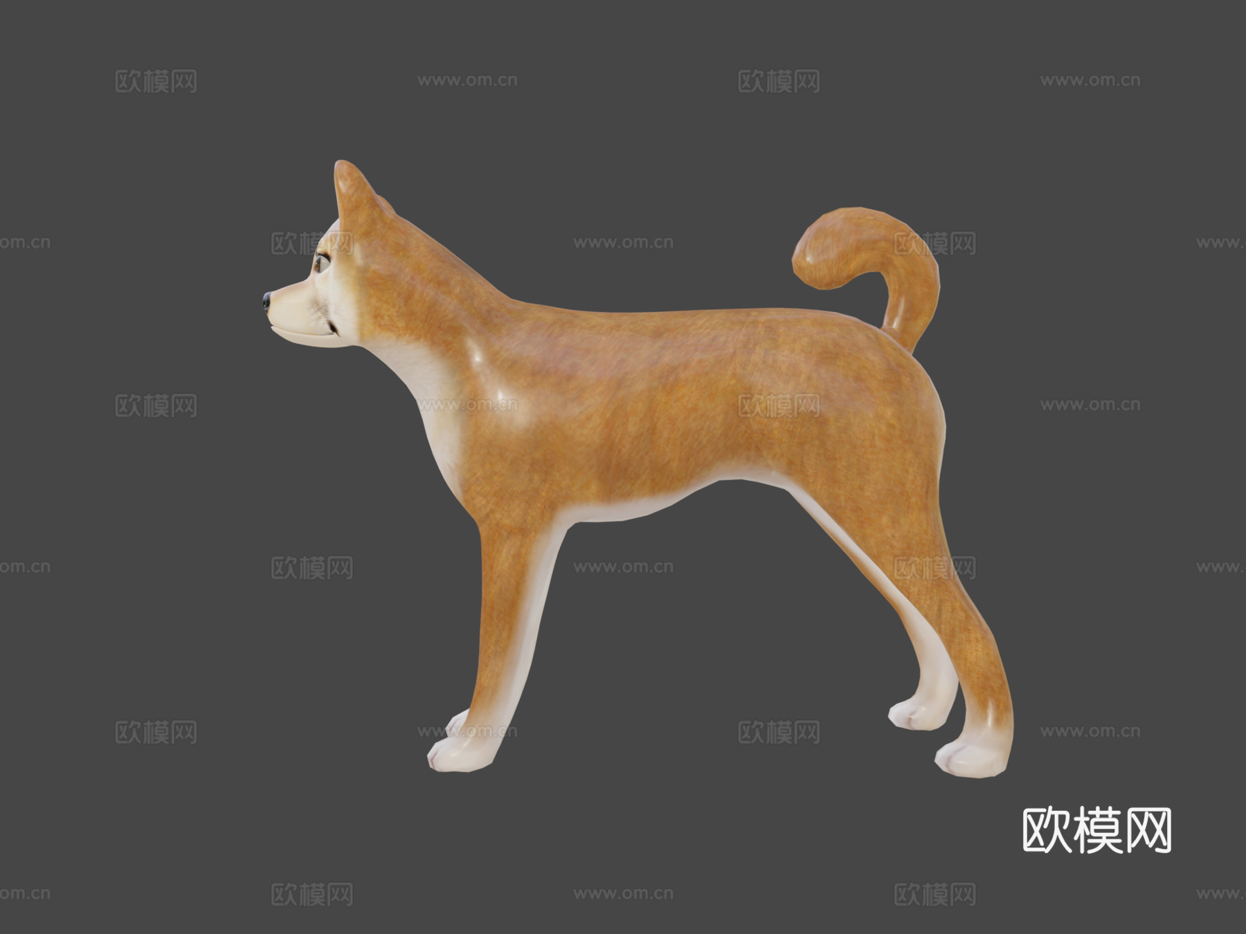 狗狗币3d模型3d模型