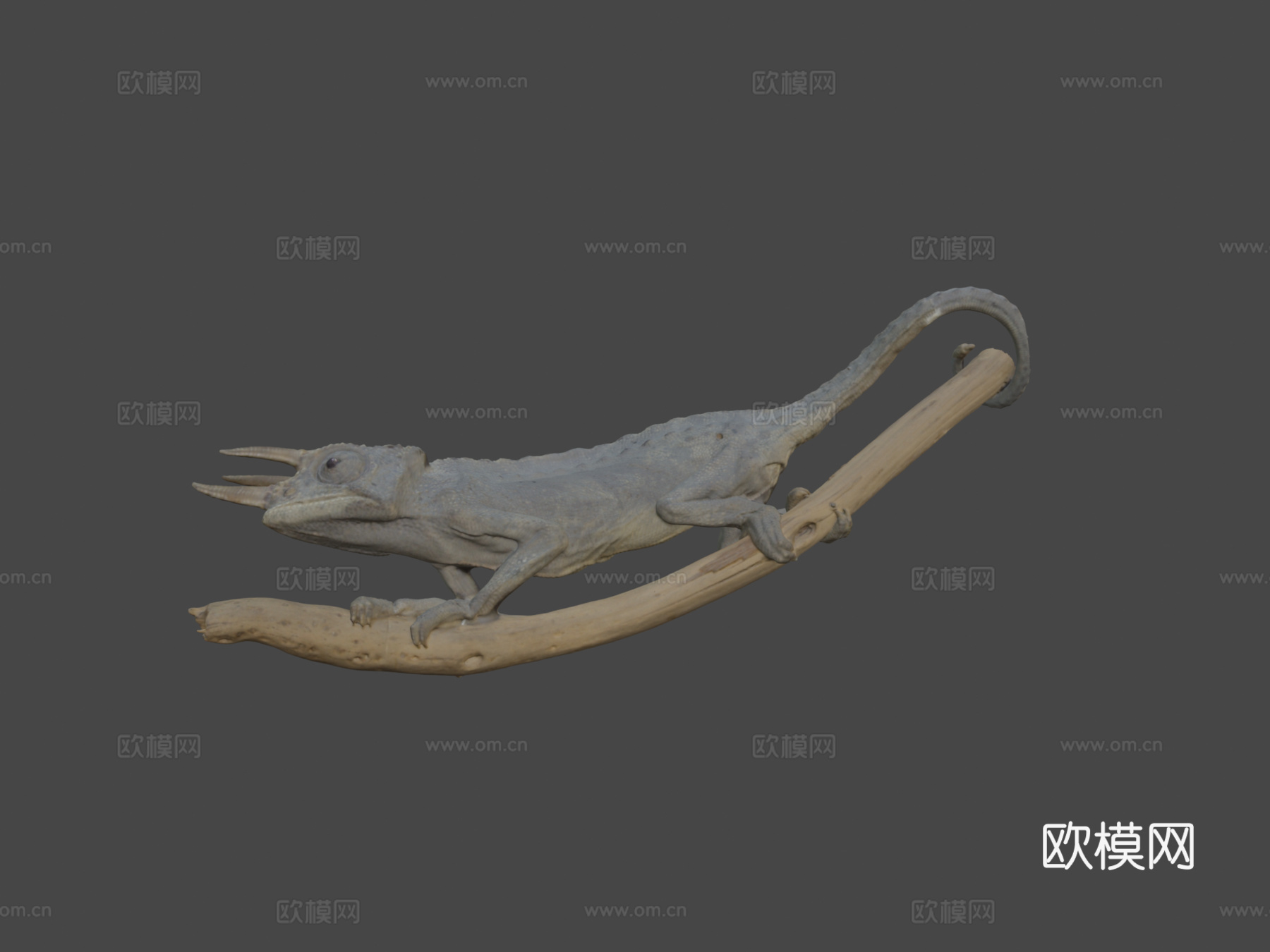 杰克逊变色龙3d模型