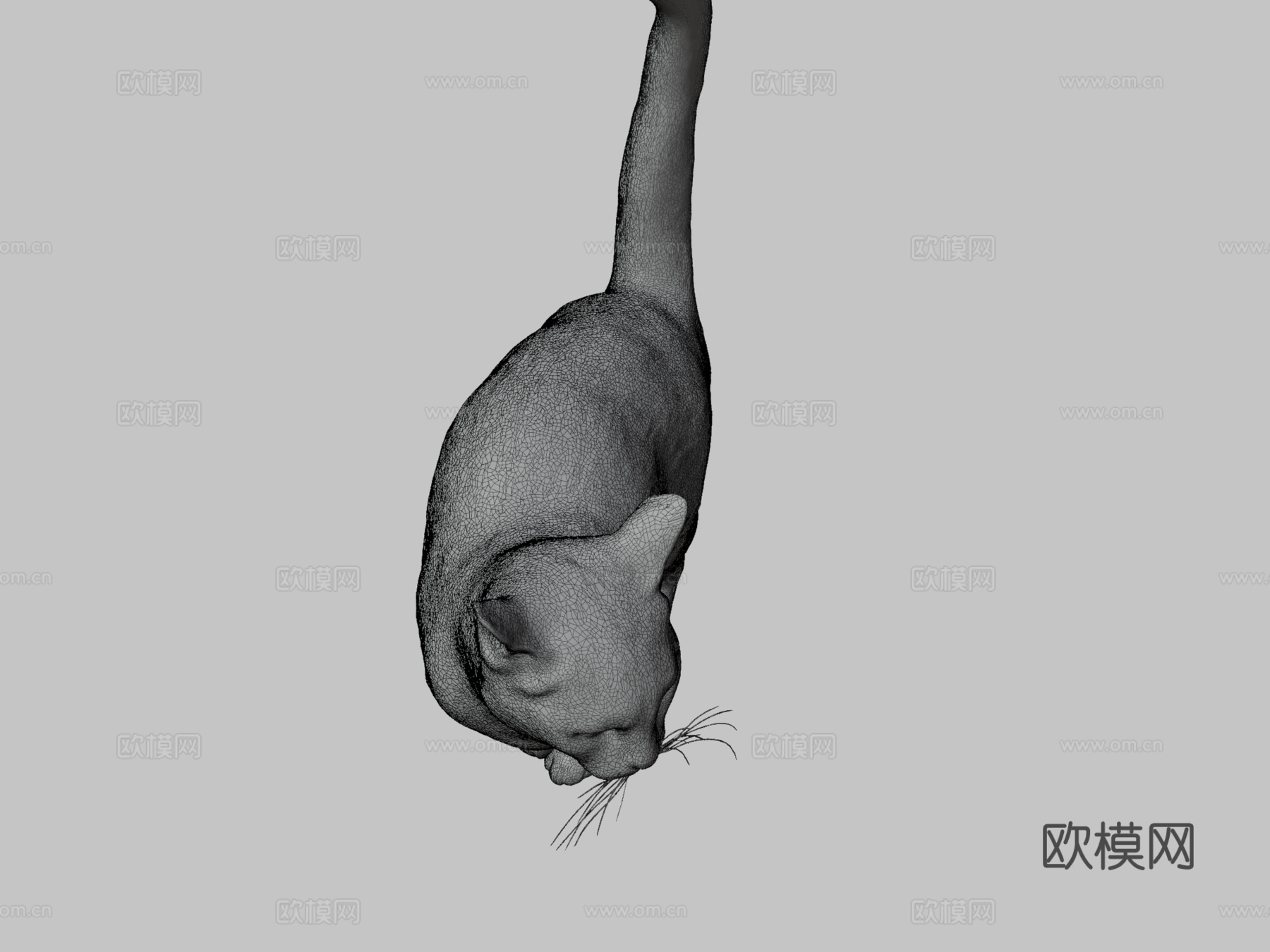 猫253d模型