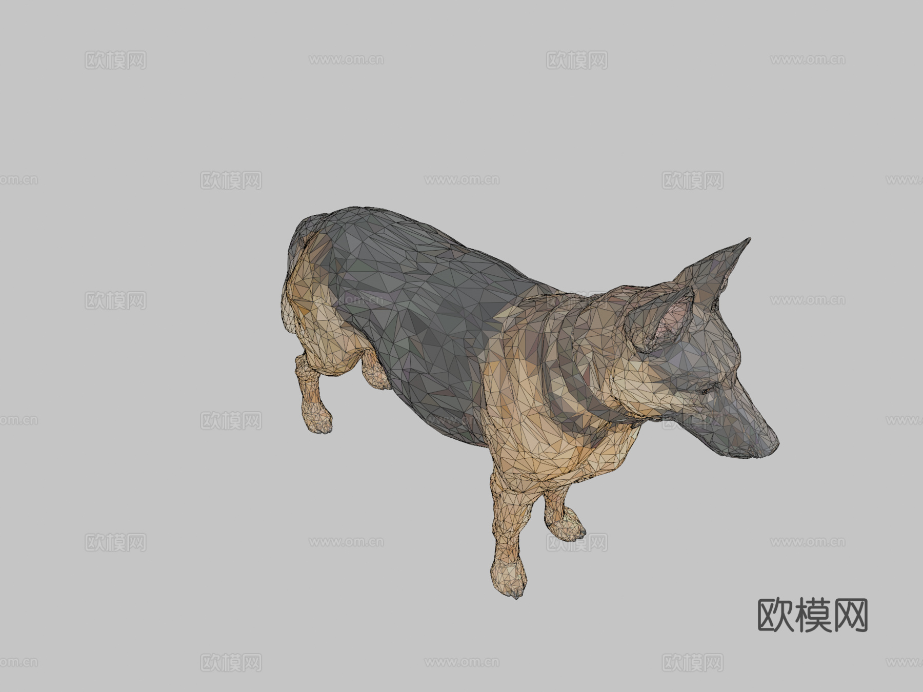 德国牧羊犬低多边形艺术狗动物3d模型