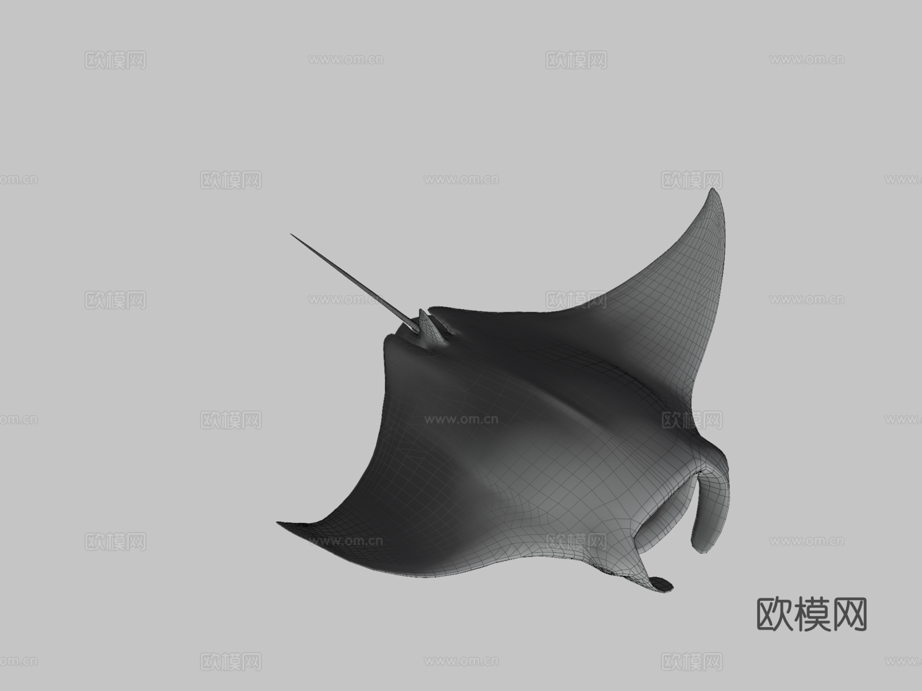 蝠鲼3d模型