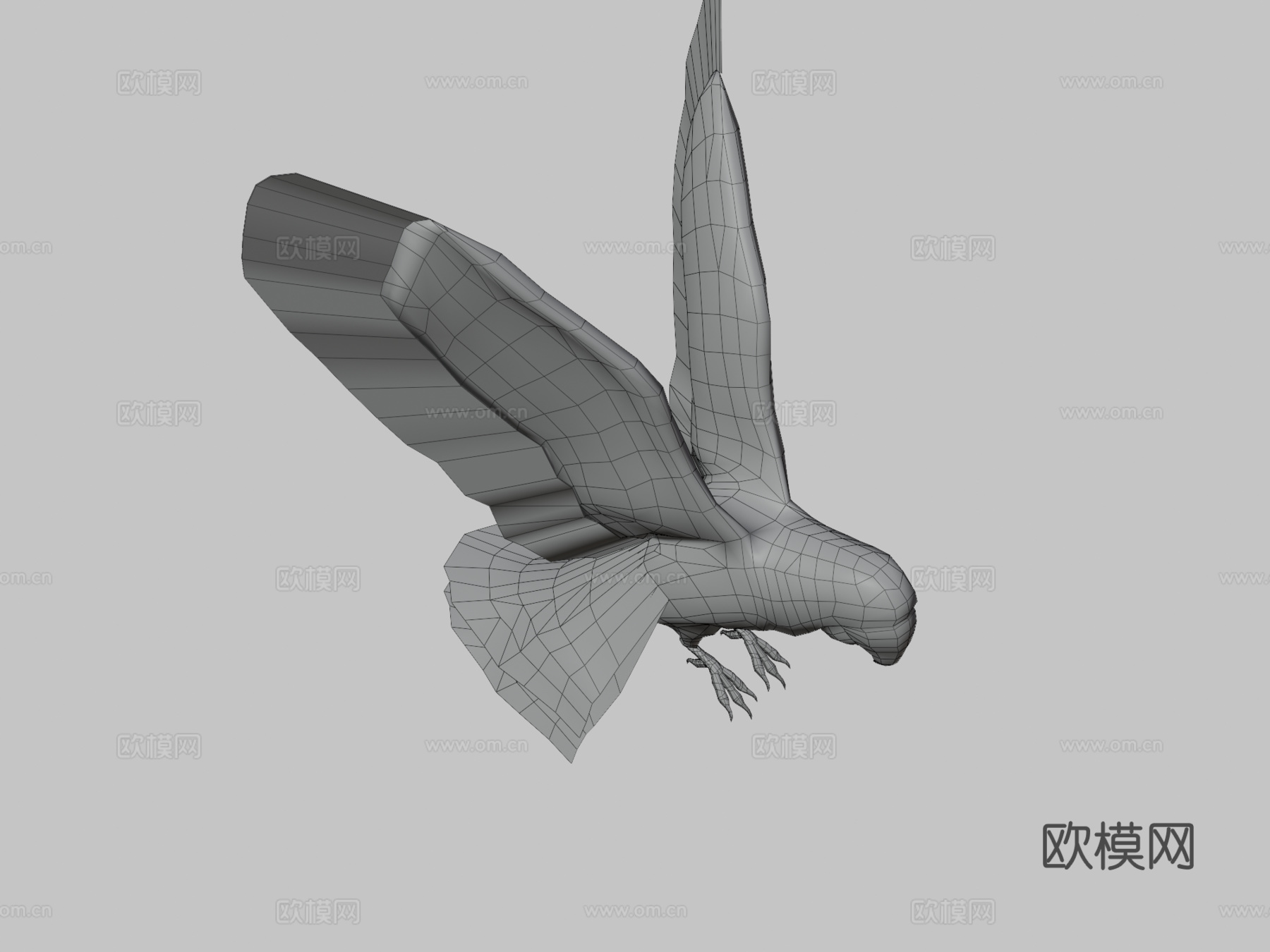 红金刚鹦鹉3d模型