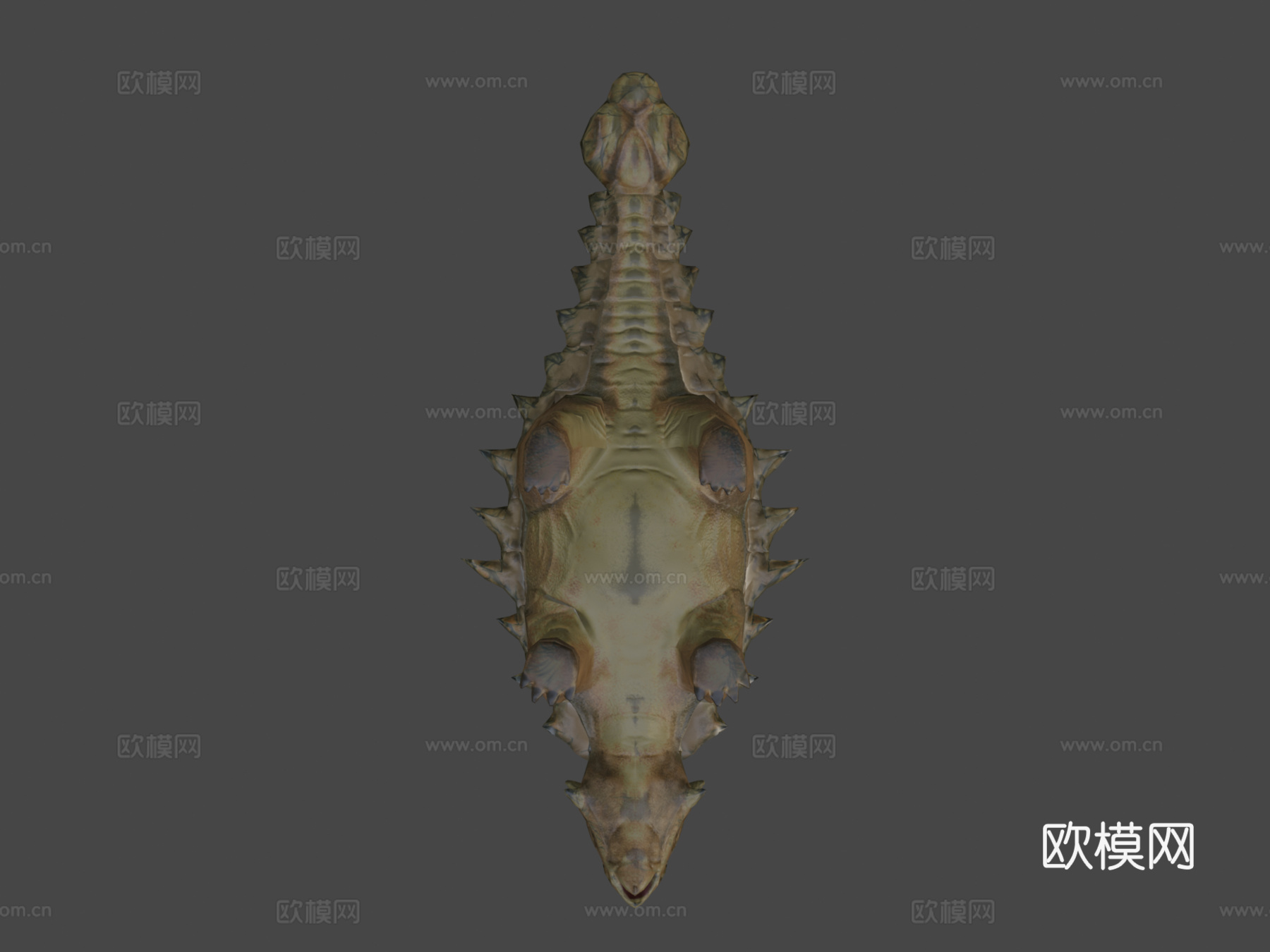 恐龙-甲龙3d模型