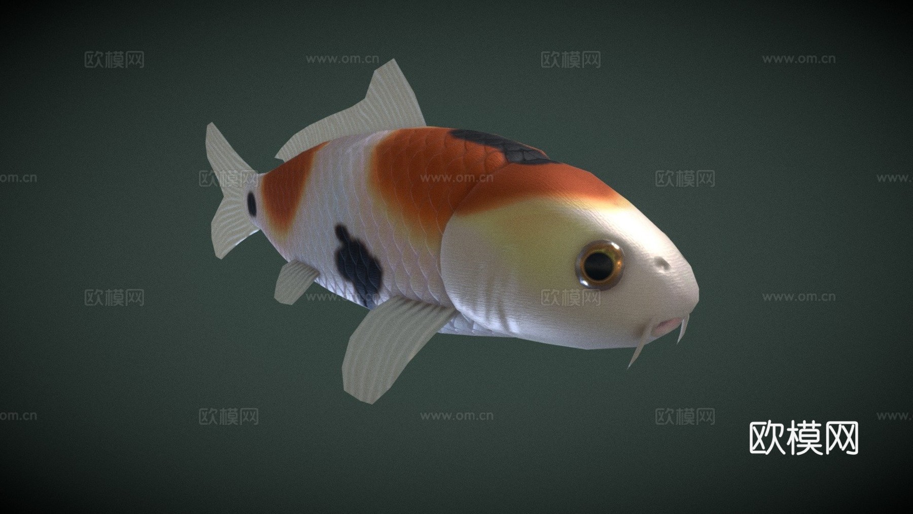 动画游动锦鲤(天空鲨鱼(犹他茶壶))3d模型