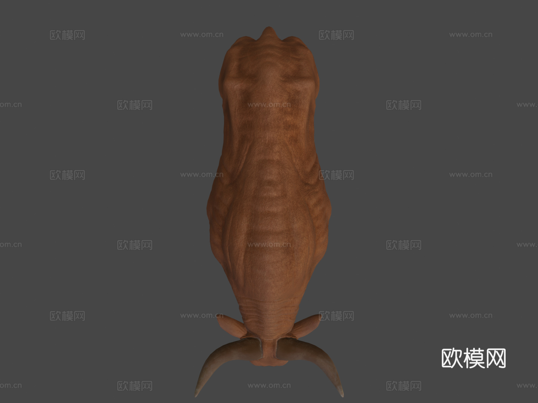 公牛动物3d模型