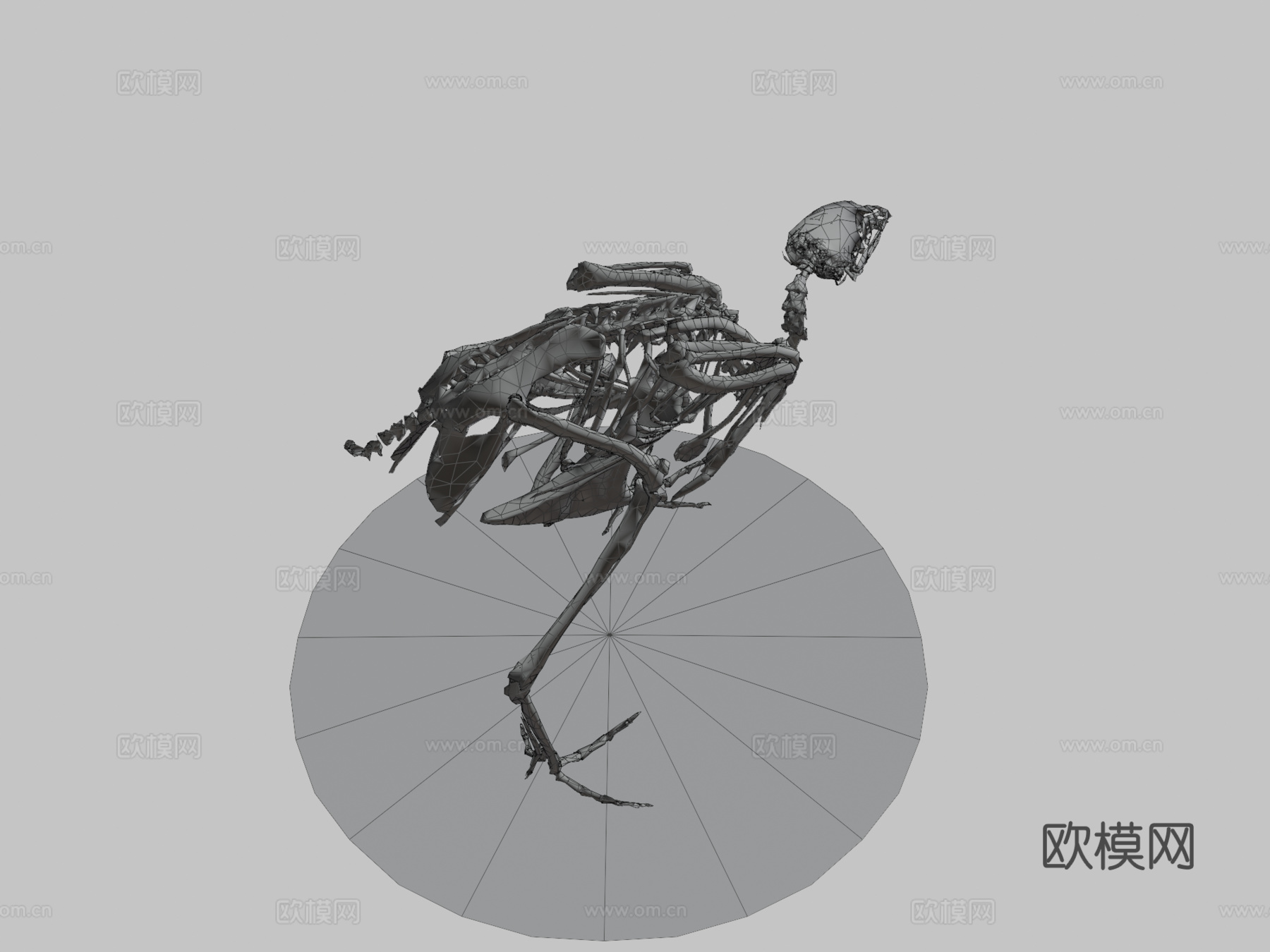 行走鹌鹑骨架3d模型