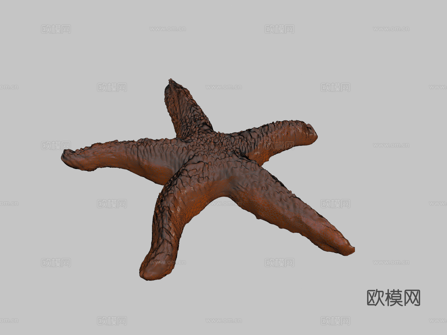 海星3d模型