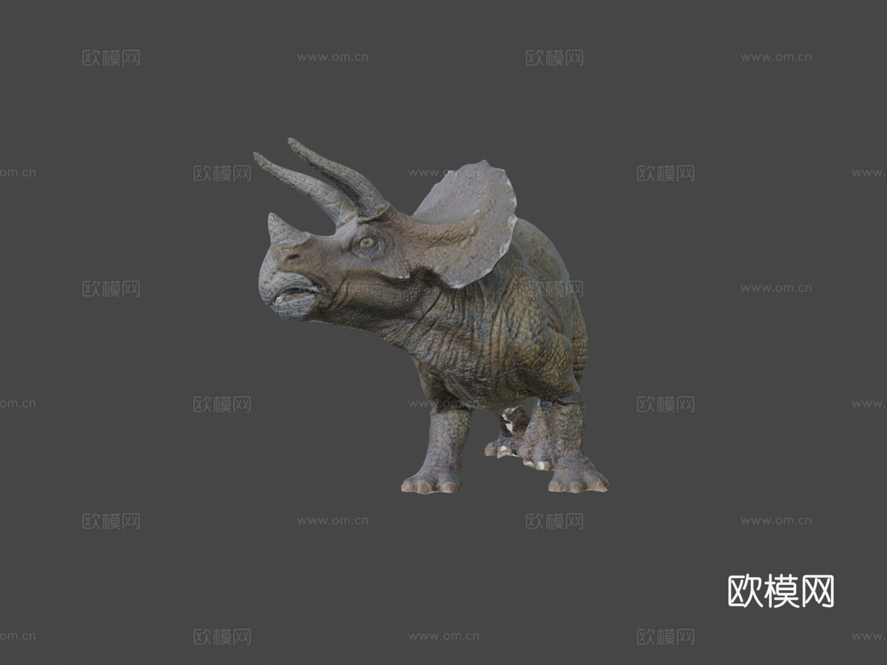 三角龙摄影测量测试3d模型