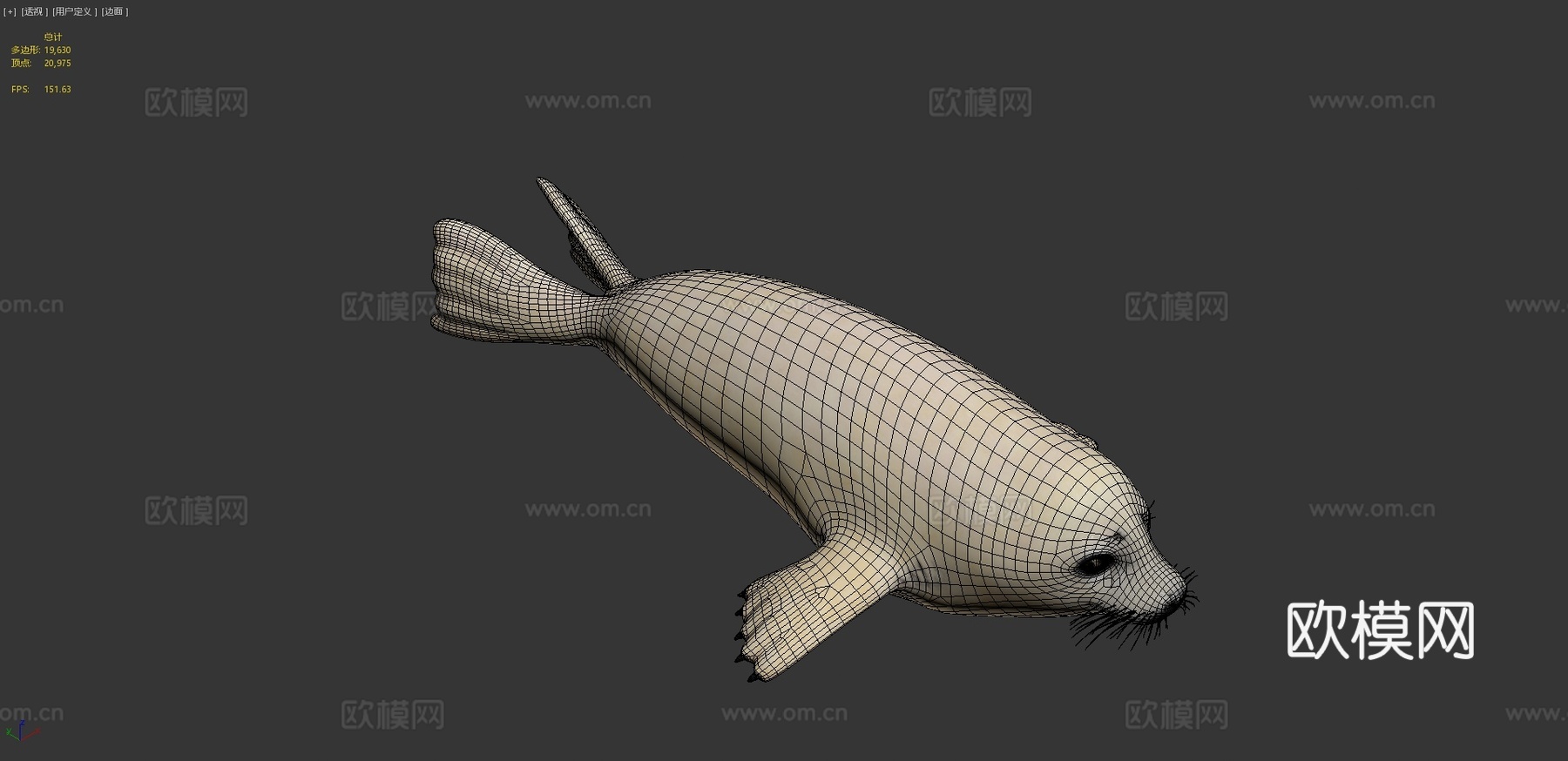 格陵兰海豹幼崽（格陵兰种）-竖琴海豹3d模型