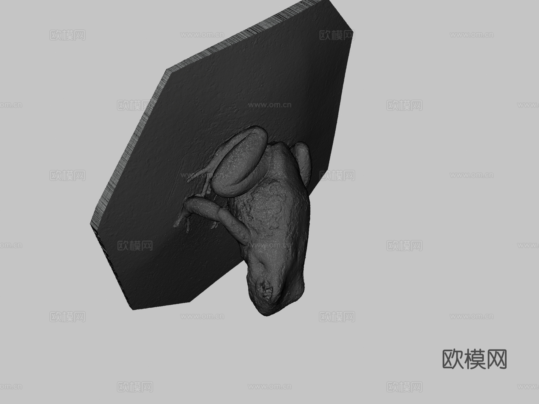 模型41-金色箭毒蛙，薄荷变种3d模型